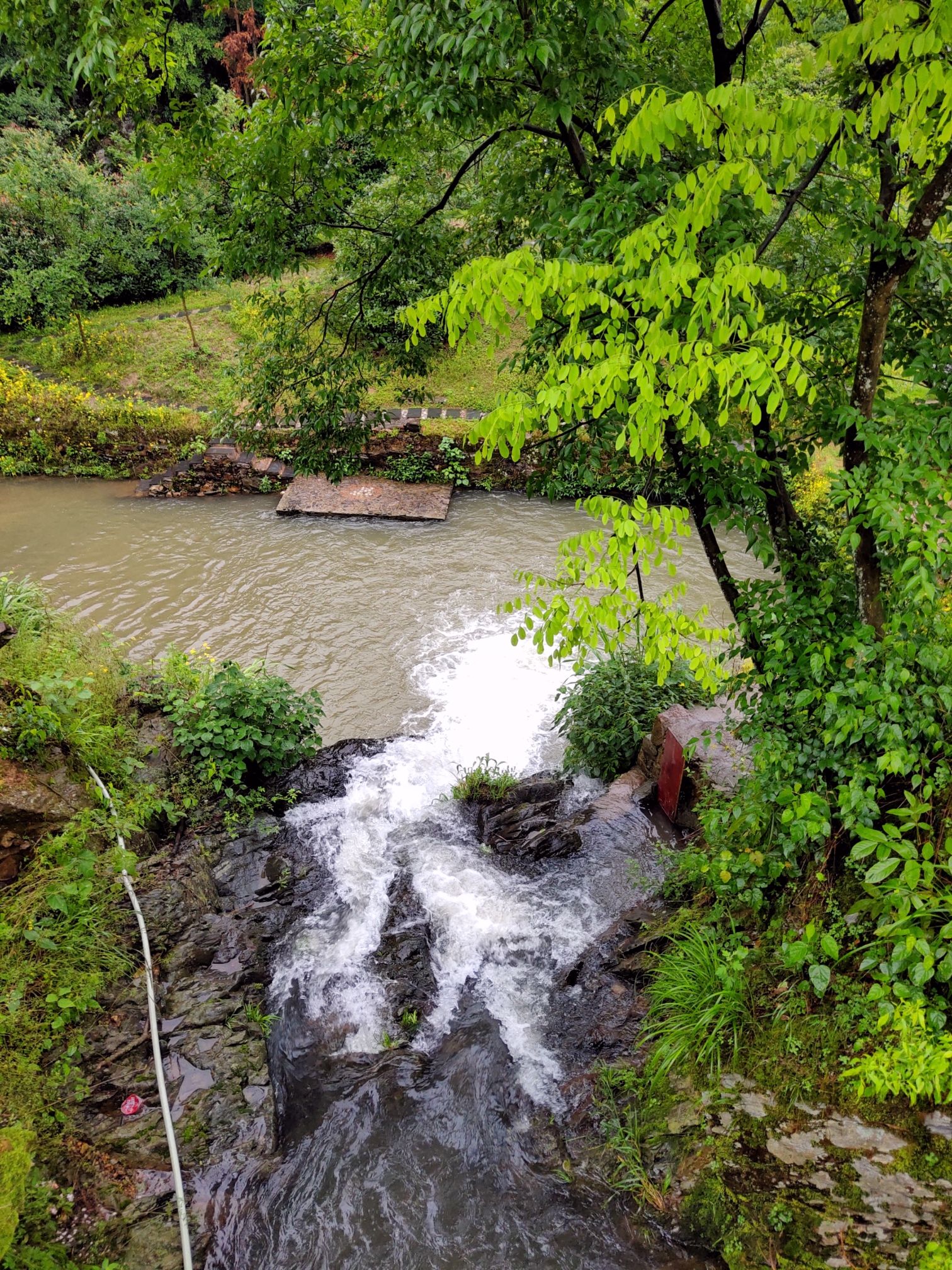 醴陵窑遗址公园-枫树坡古窑遗址旅行图片 2