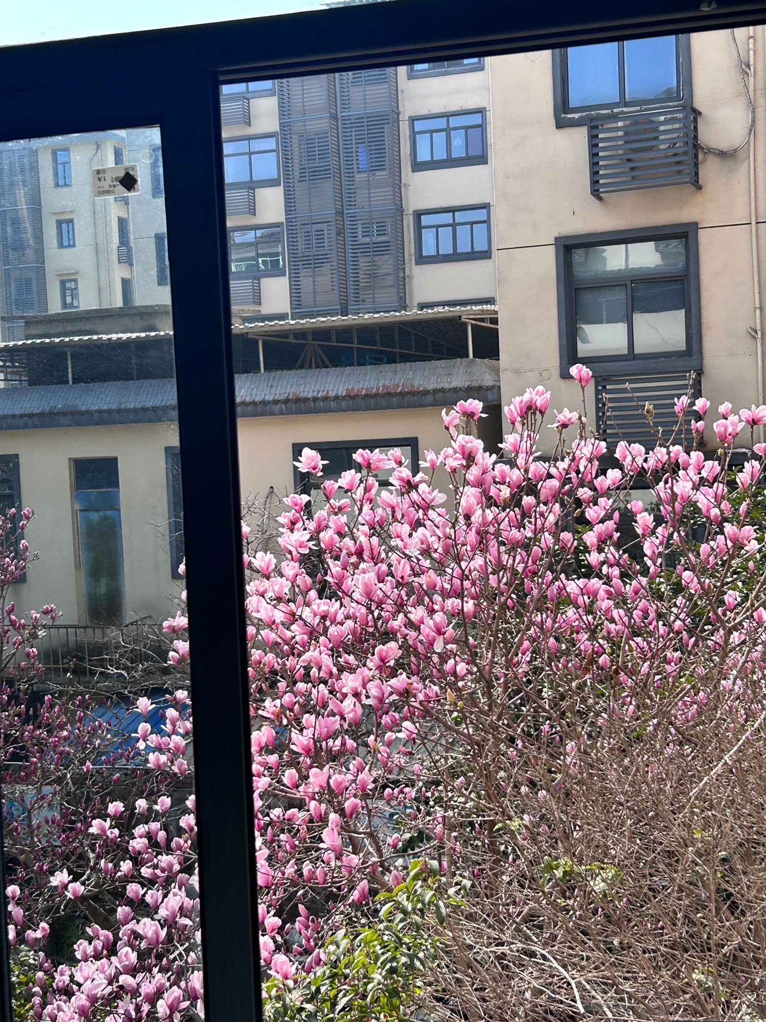 原城纪·南昌旅行图片 2