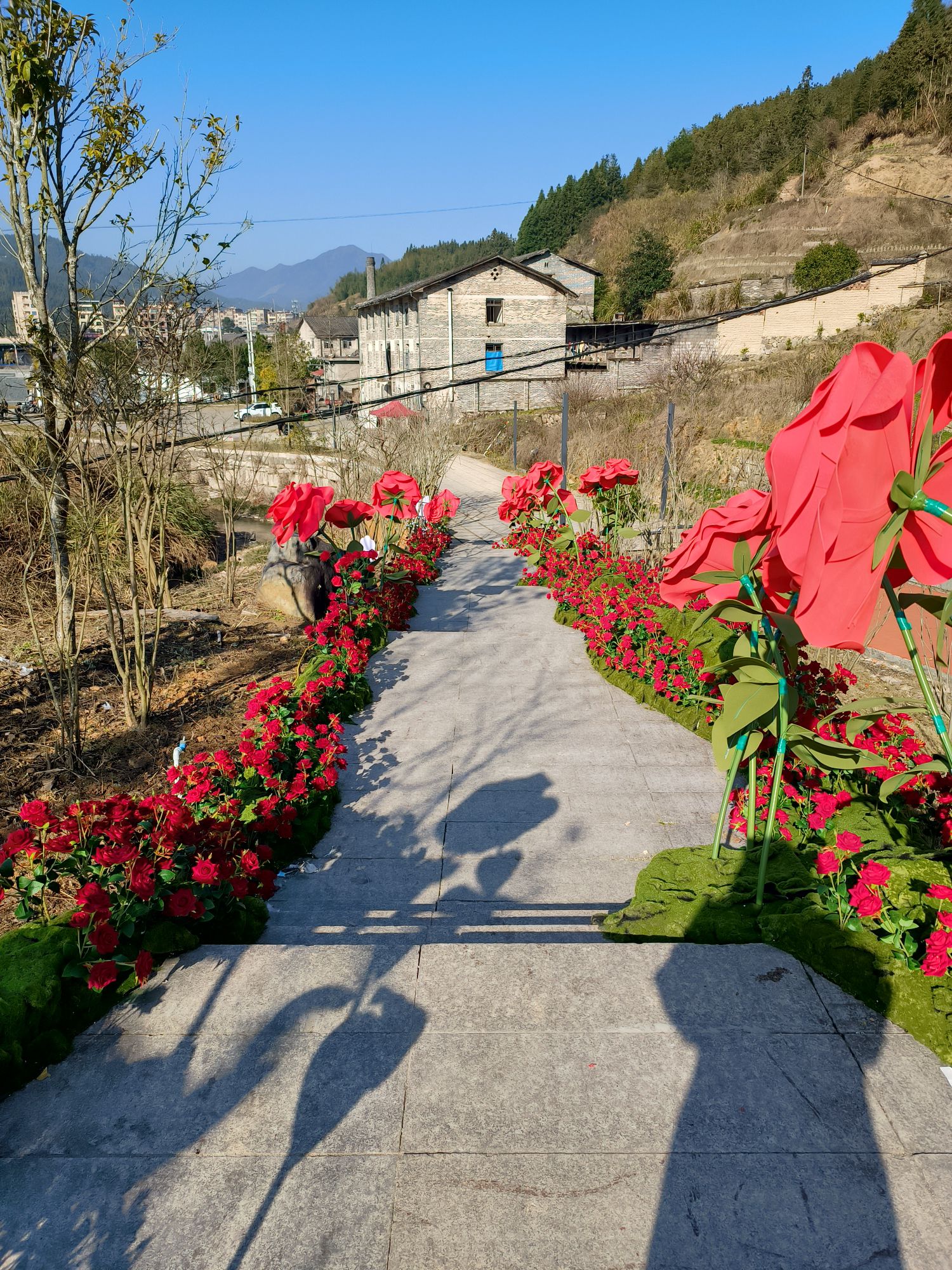 棋坪洋生态公园旅行图片 3