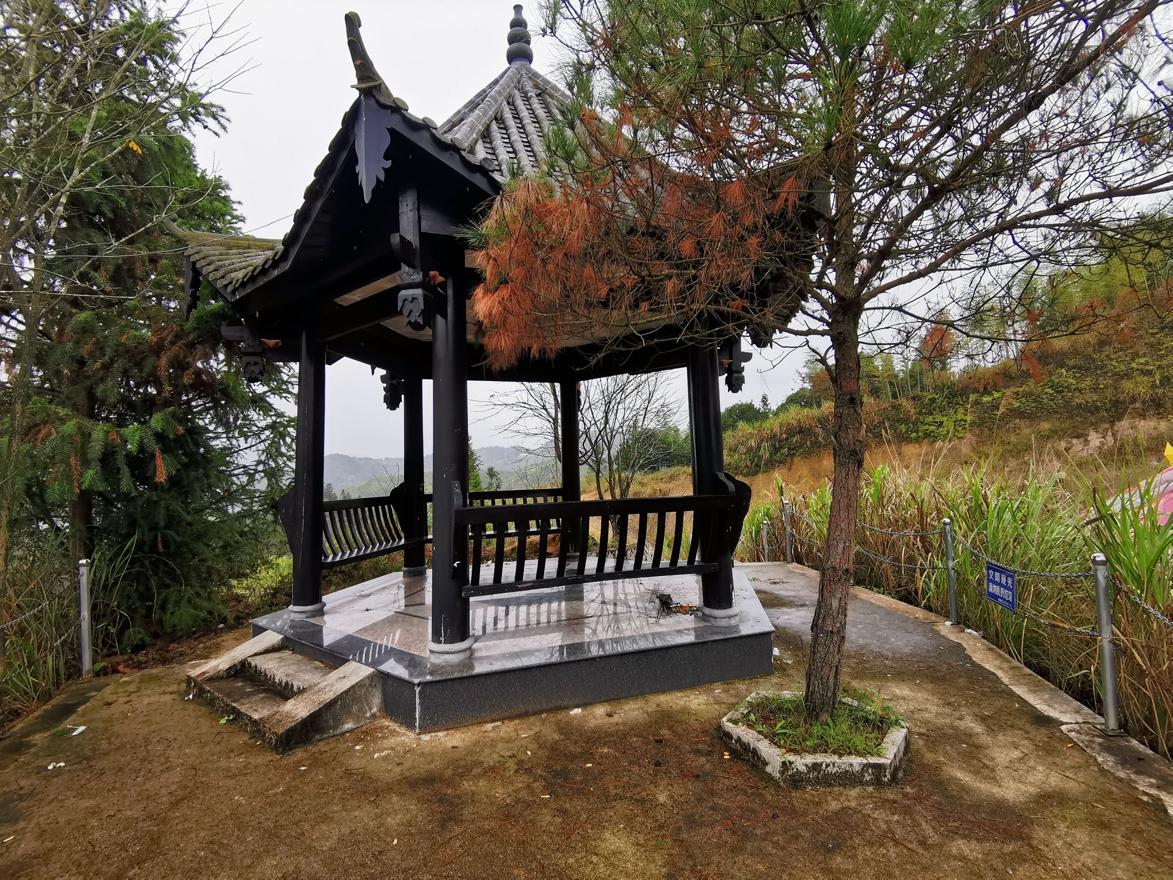 棋坪洋生态公园旅行图片 2