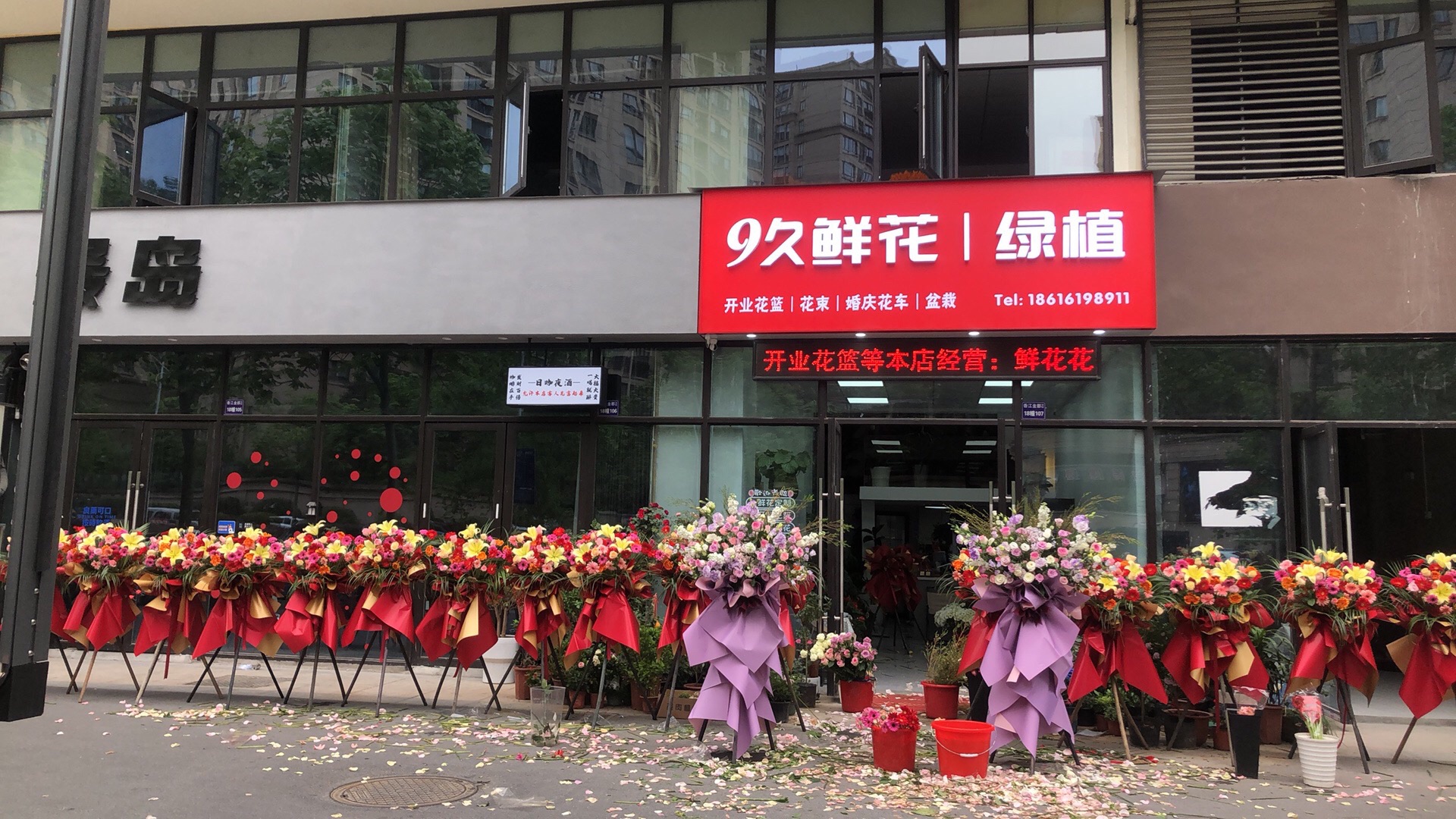 9久鲜花绿植(香江金郡店)