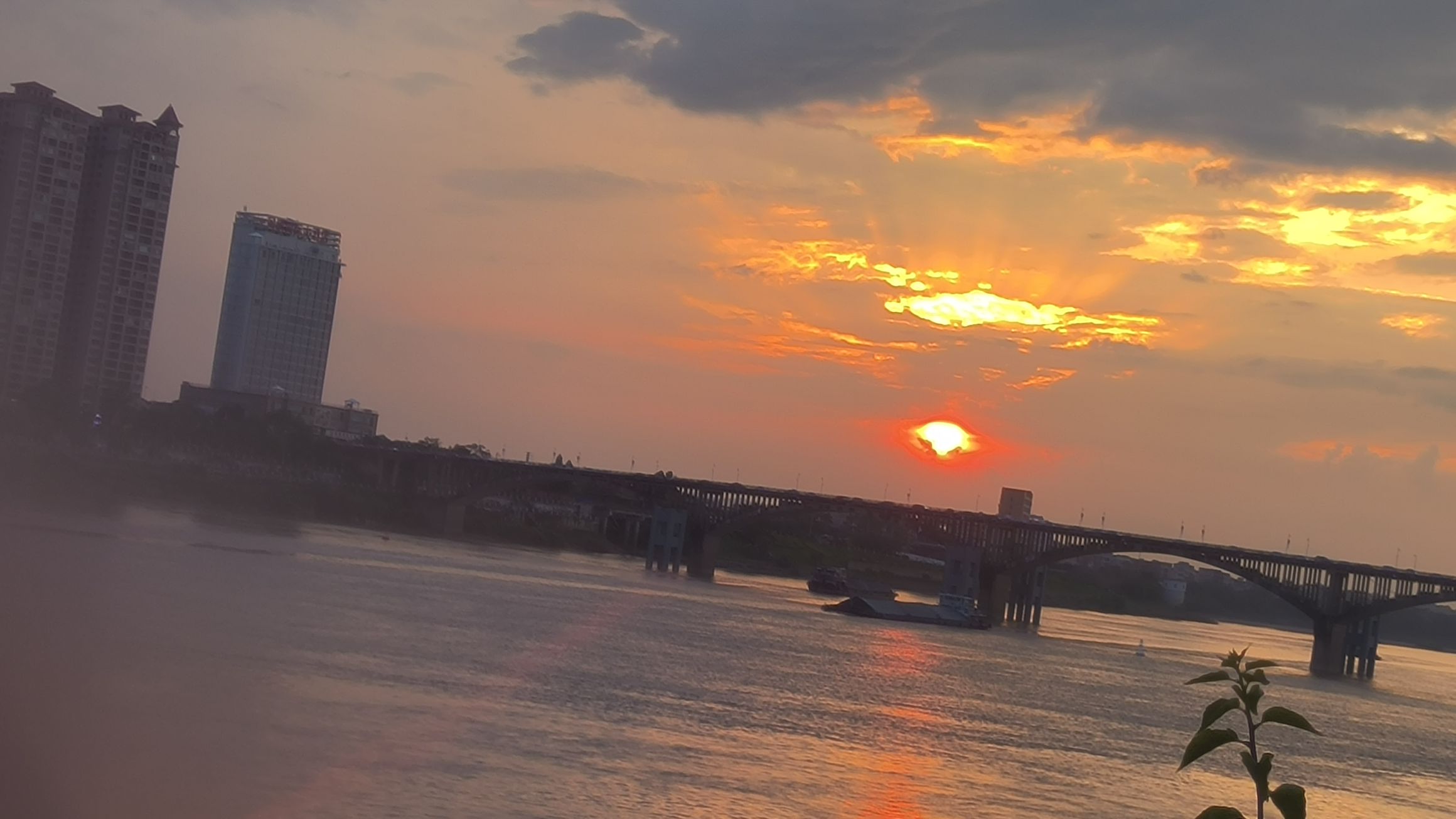 平南县江南公园旅行图片 2