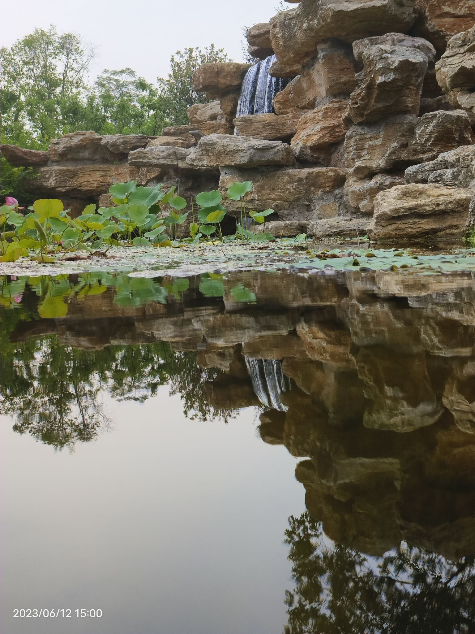 城望顶森林公园旅行图片 2