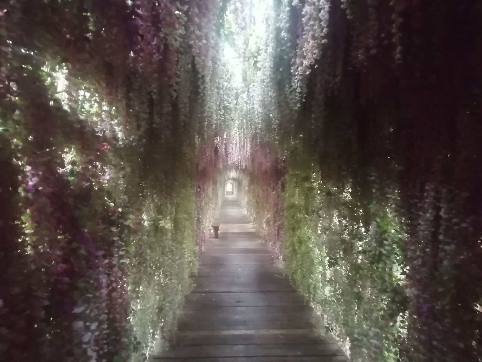 清水潭旅游区旅行图片 3
