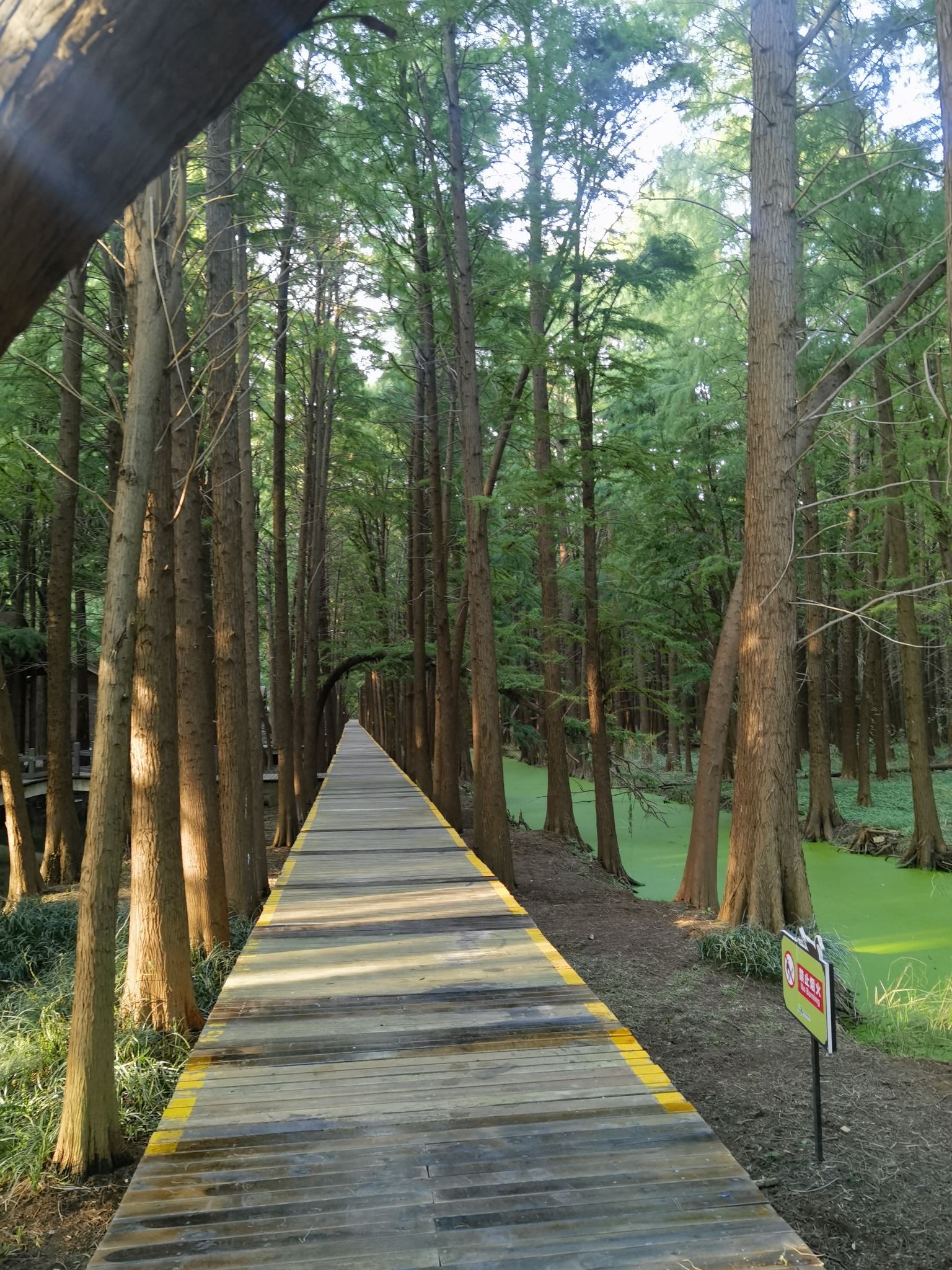 清水潭旅游区旅行图片 3