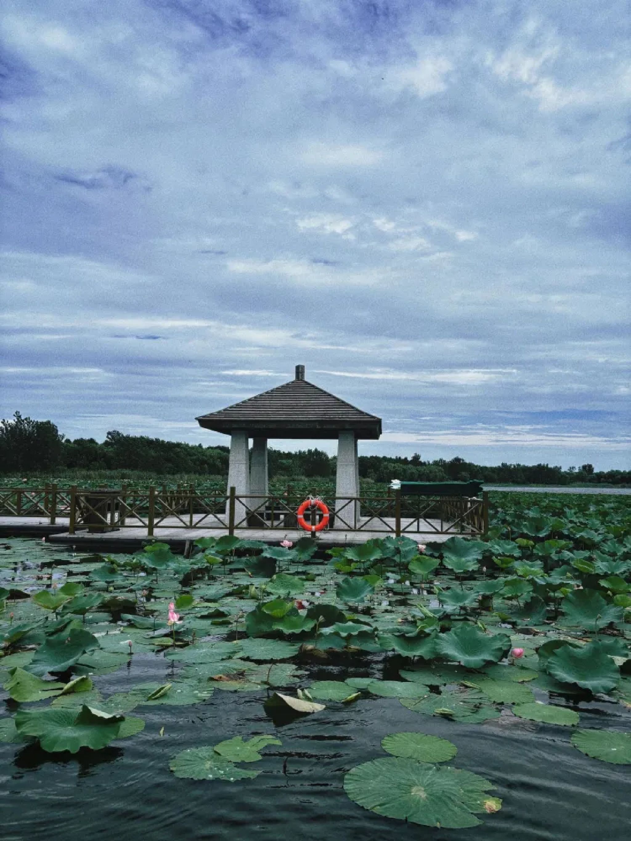 清水潭旅游区旅行图片 1
