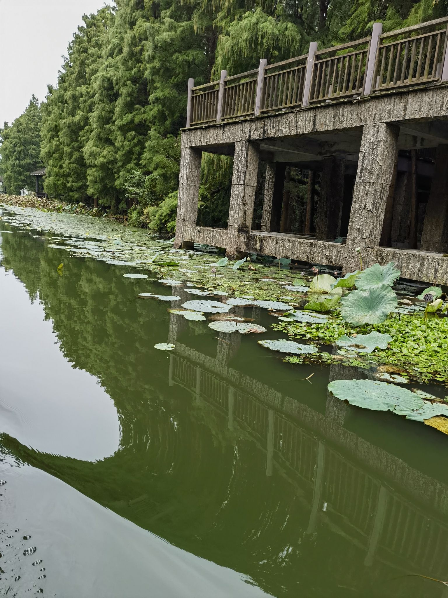 清水潭旅游区旅行图片 3