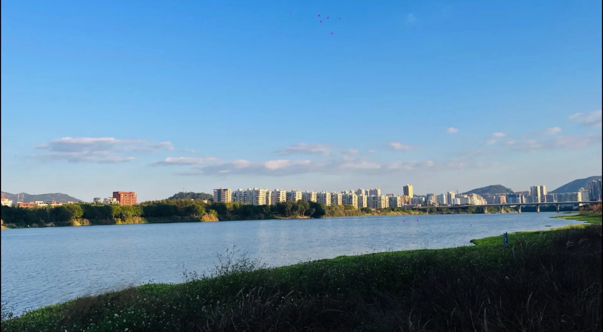 城西湿地公园旅行图片 1