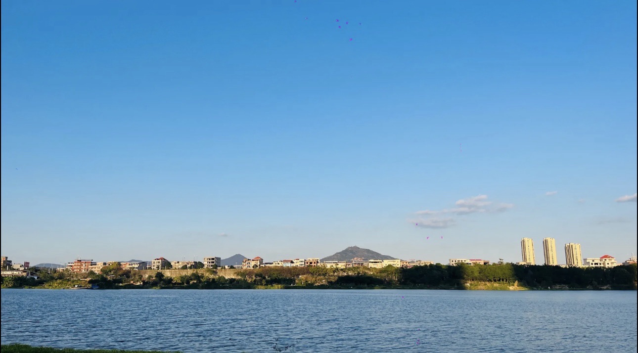城西湿地公园旅行图片 2