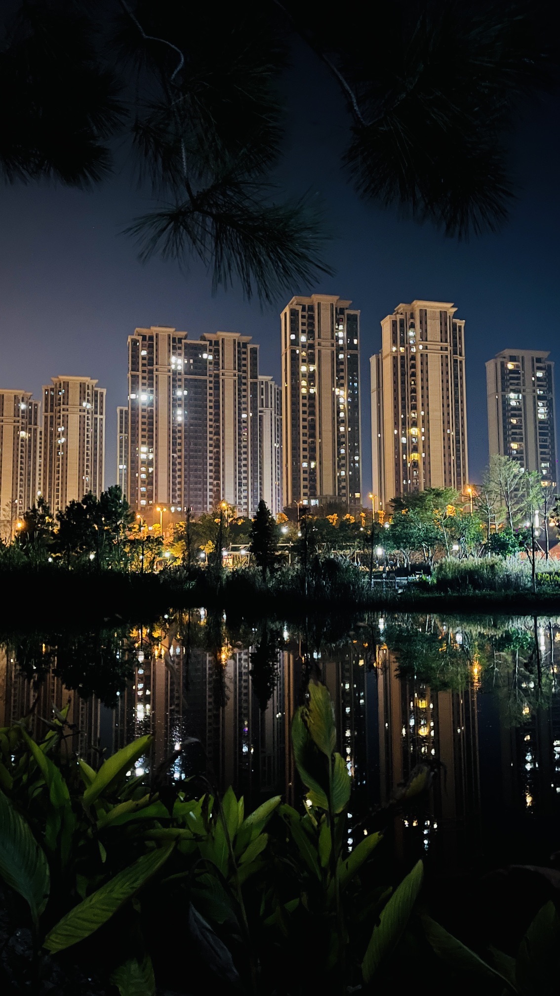 城西湿地公园旅行图片 3