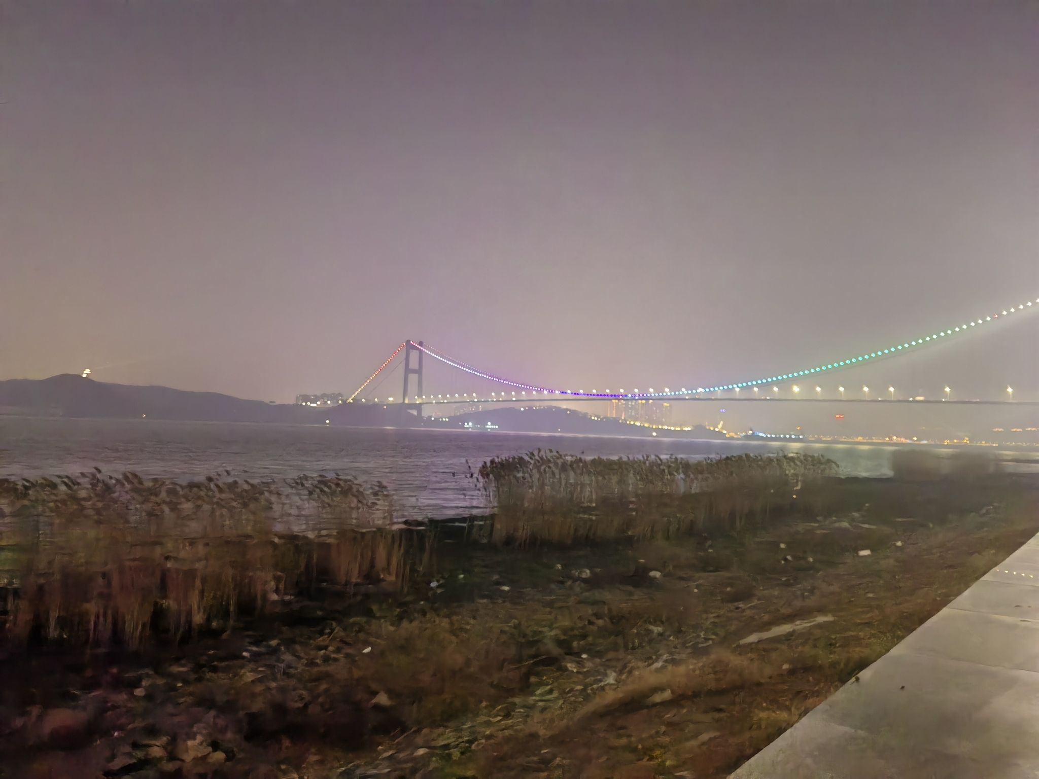 靖江花海公园旅行图片 2