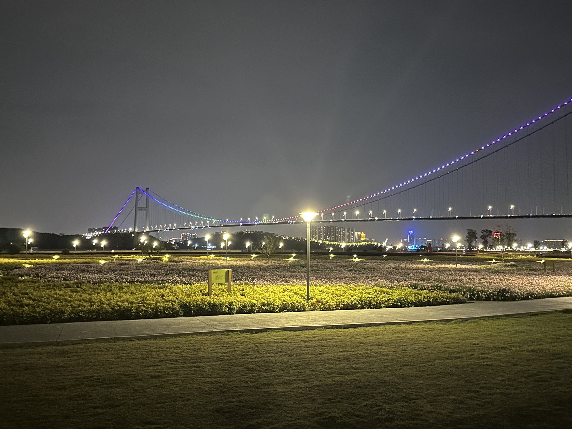 靖江花海公园旅行图片 1