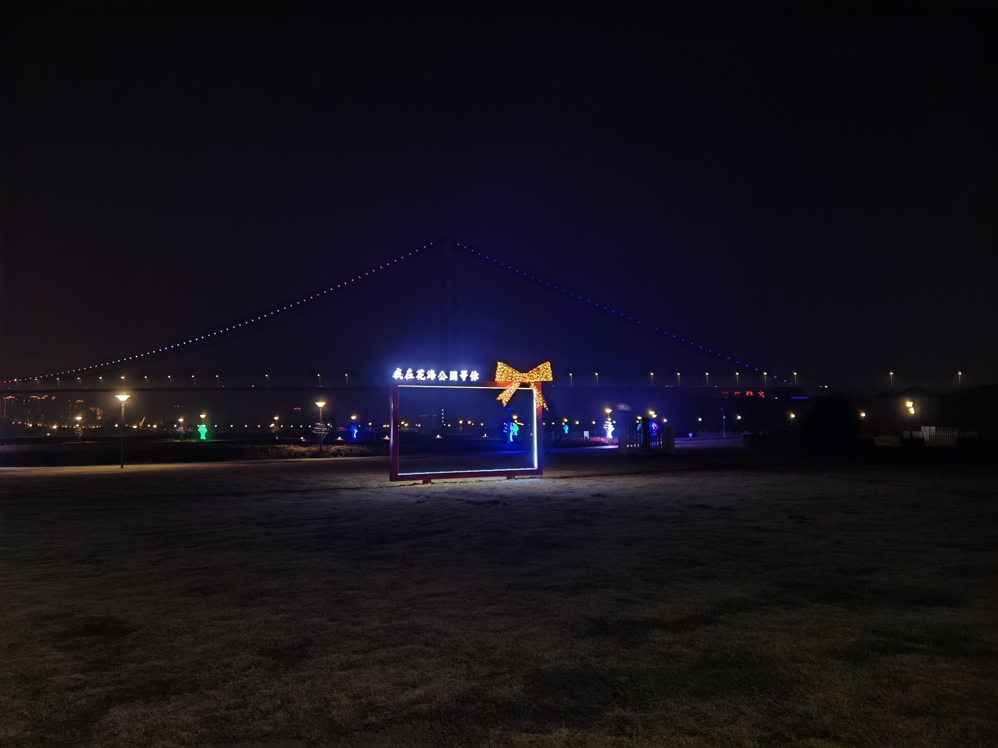 靖江花海公园旅行图片 1