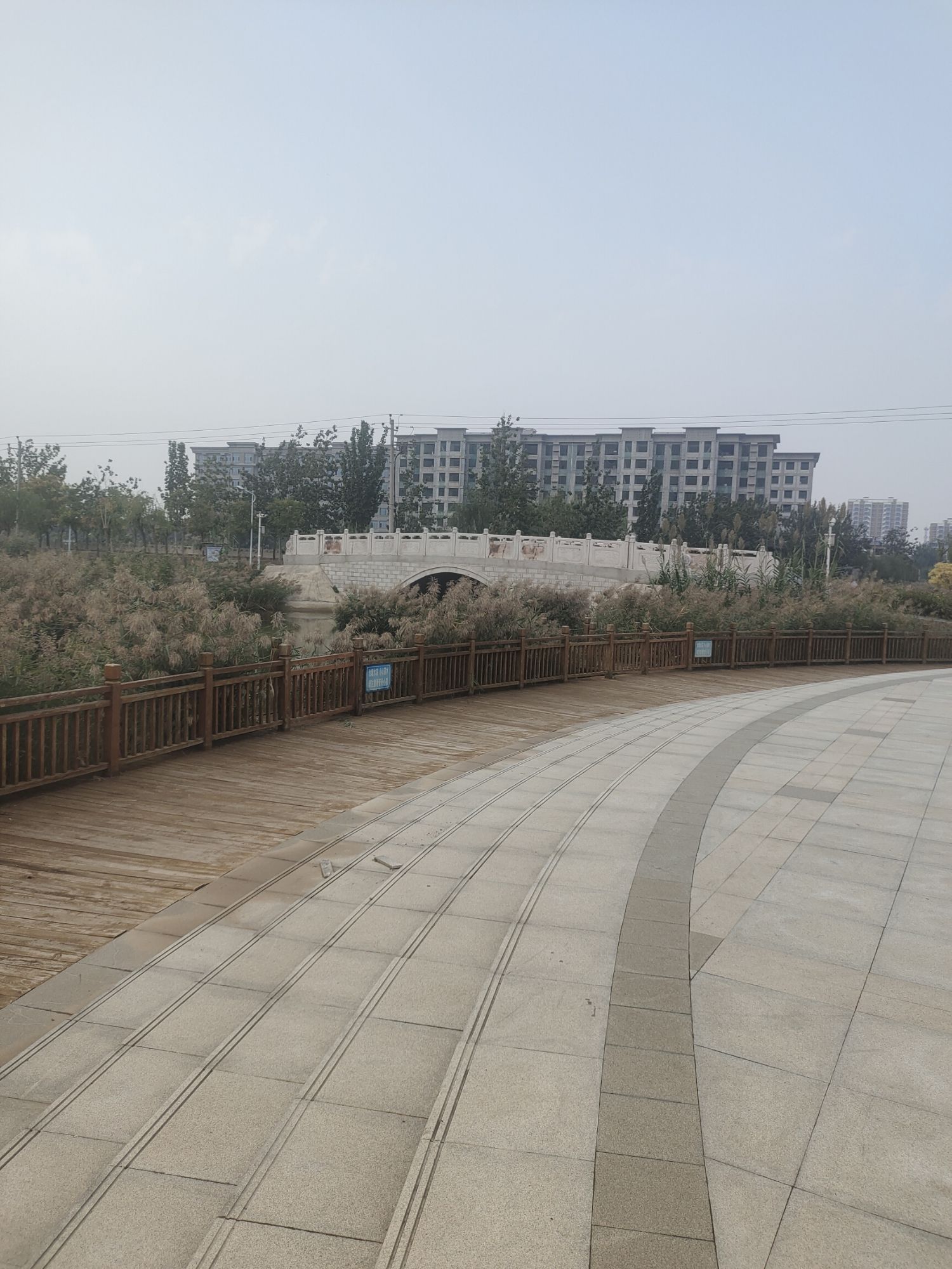 青县湿地公园旅行图片 3