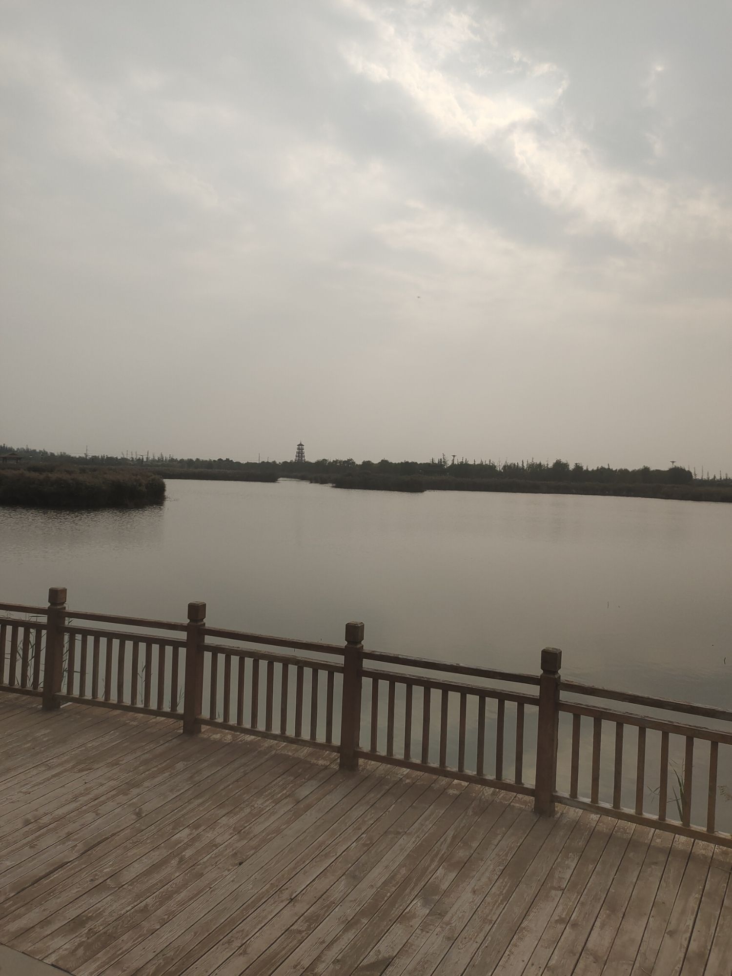 青县湿地公园旅行图片 2