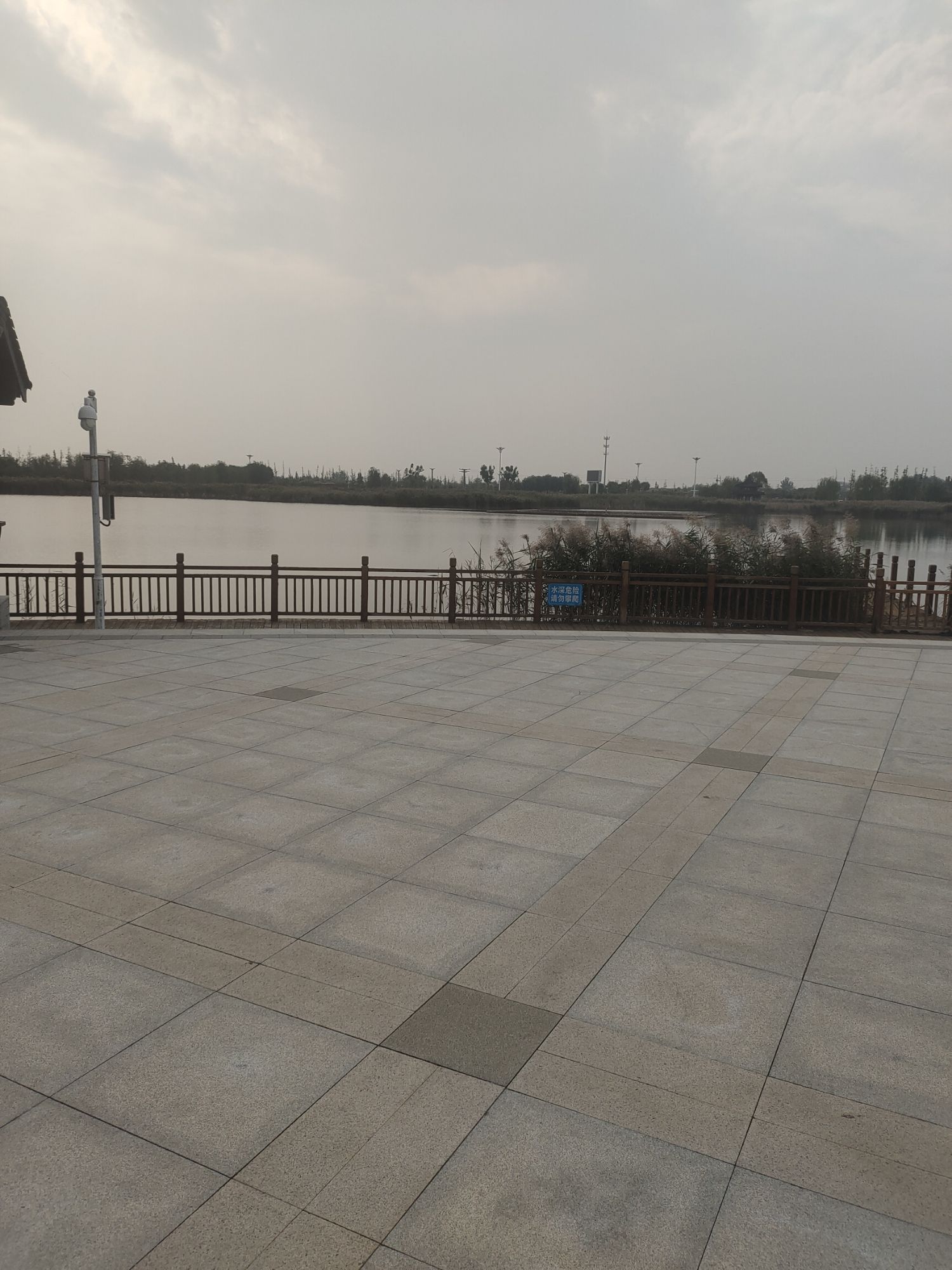 青县湿地公园旅行图片 1