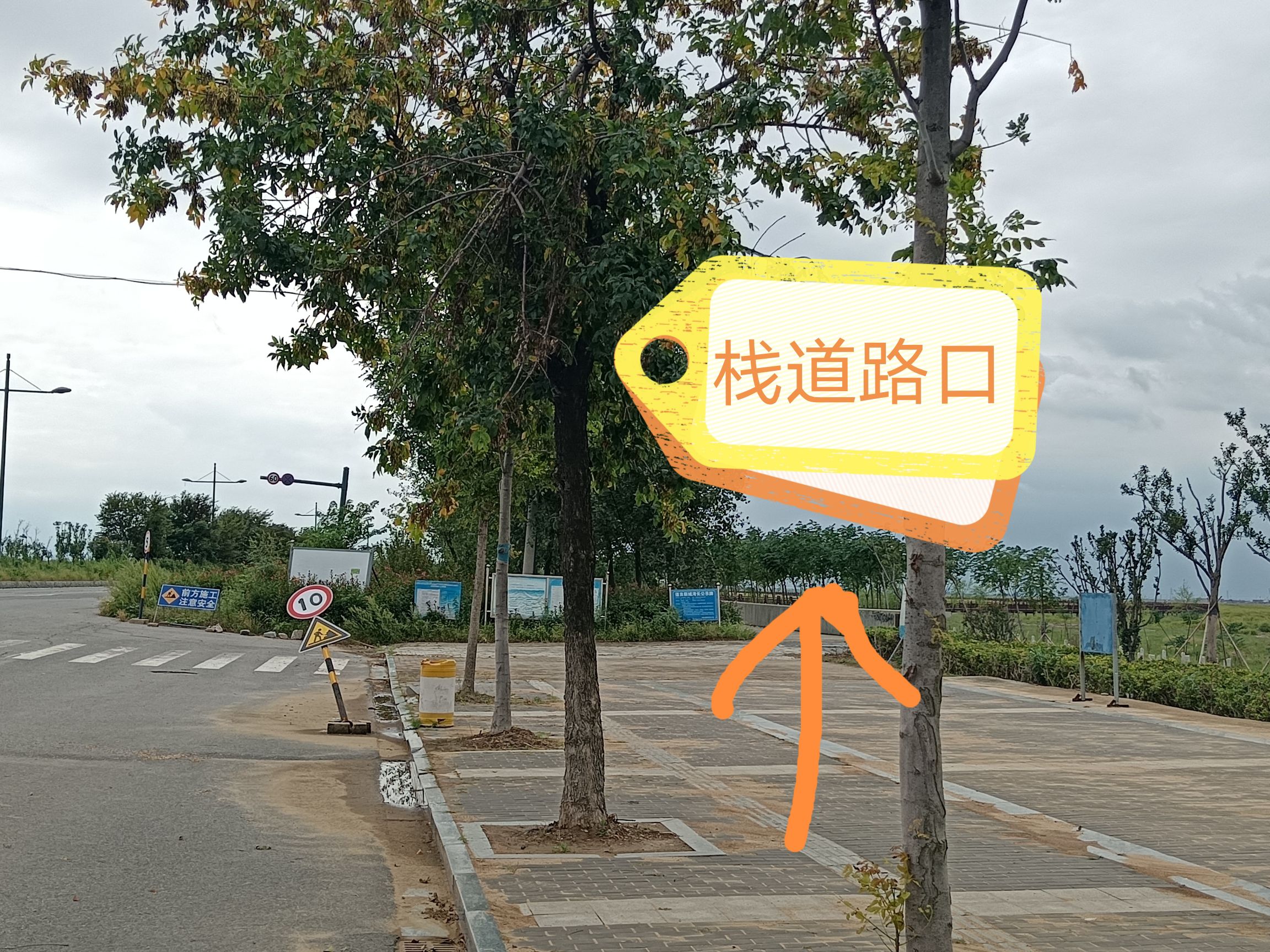 临洪闸湿地公园旅行图片 1