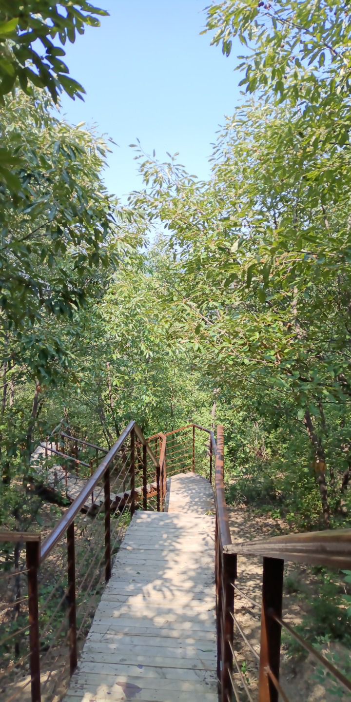 罗圈古冰川遗址旅行图片 1