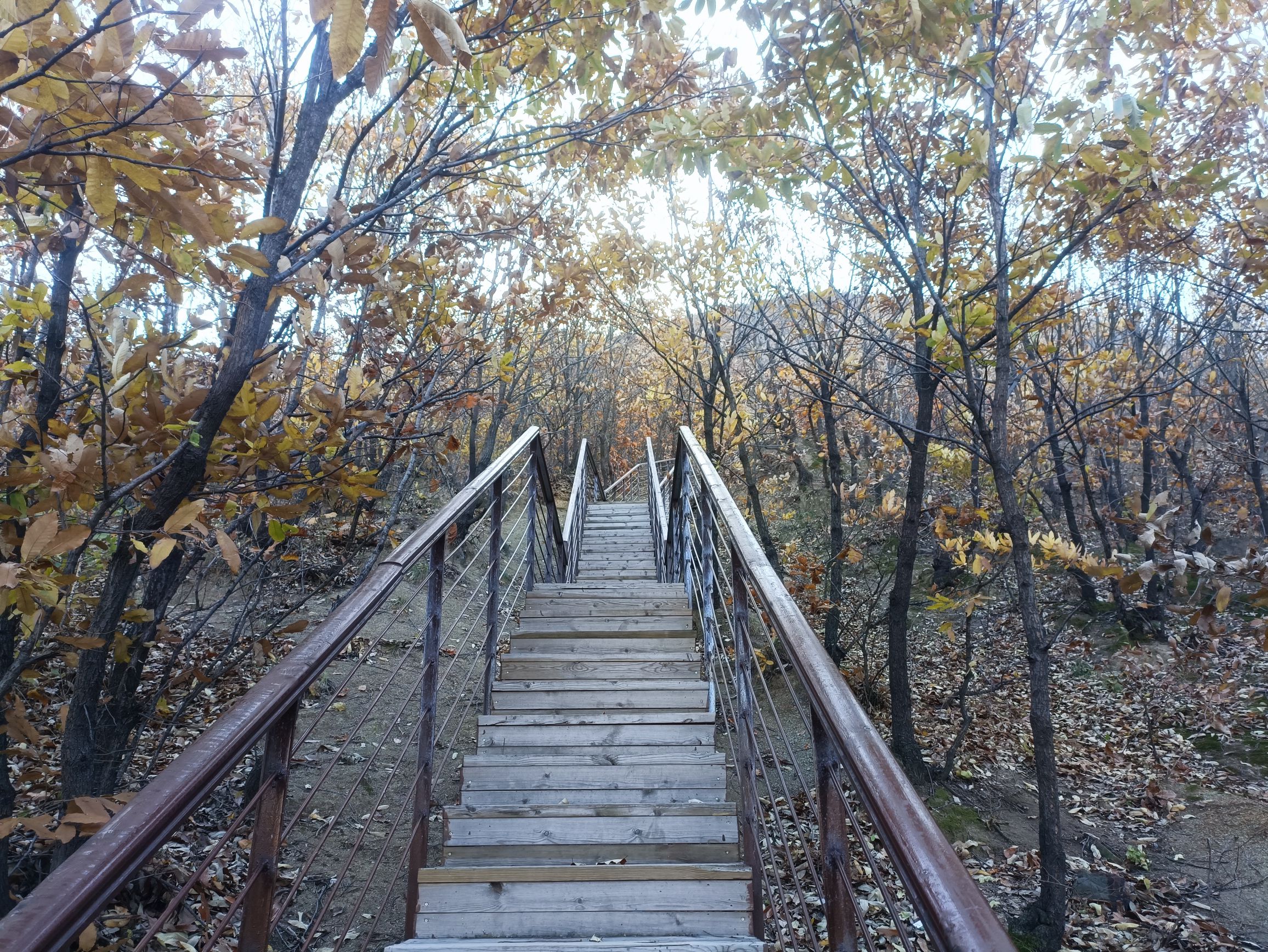 罗圈古冰川遗址旅行图片 3