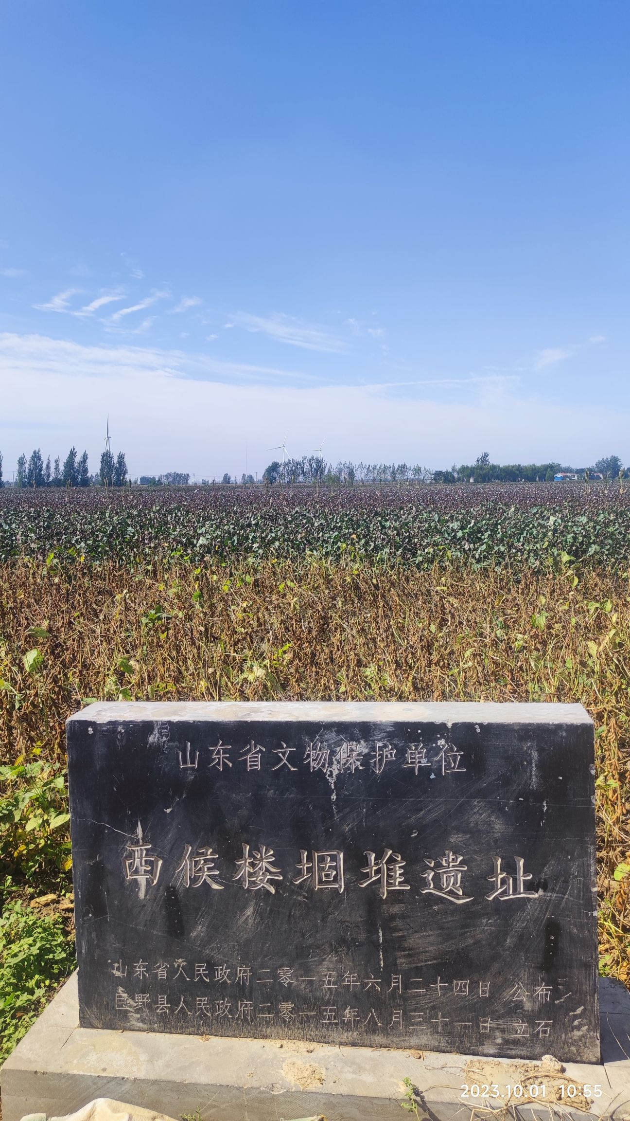 西候楼堌堆遗址旅行图片 2