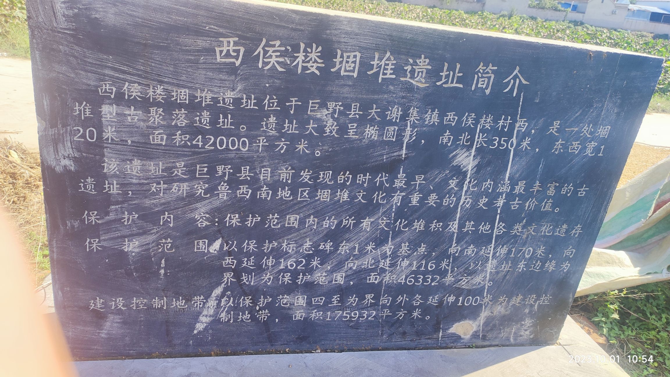西候楼堌堆遗址旅行图片 3