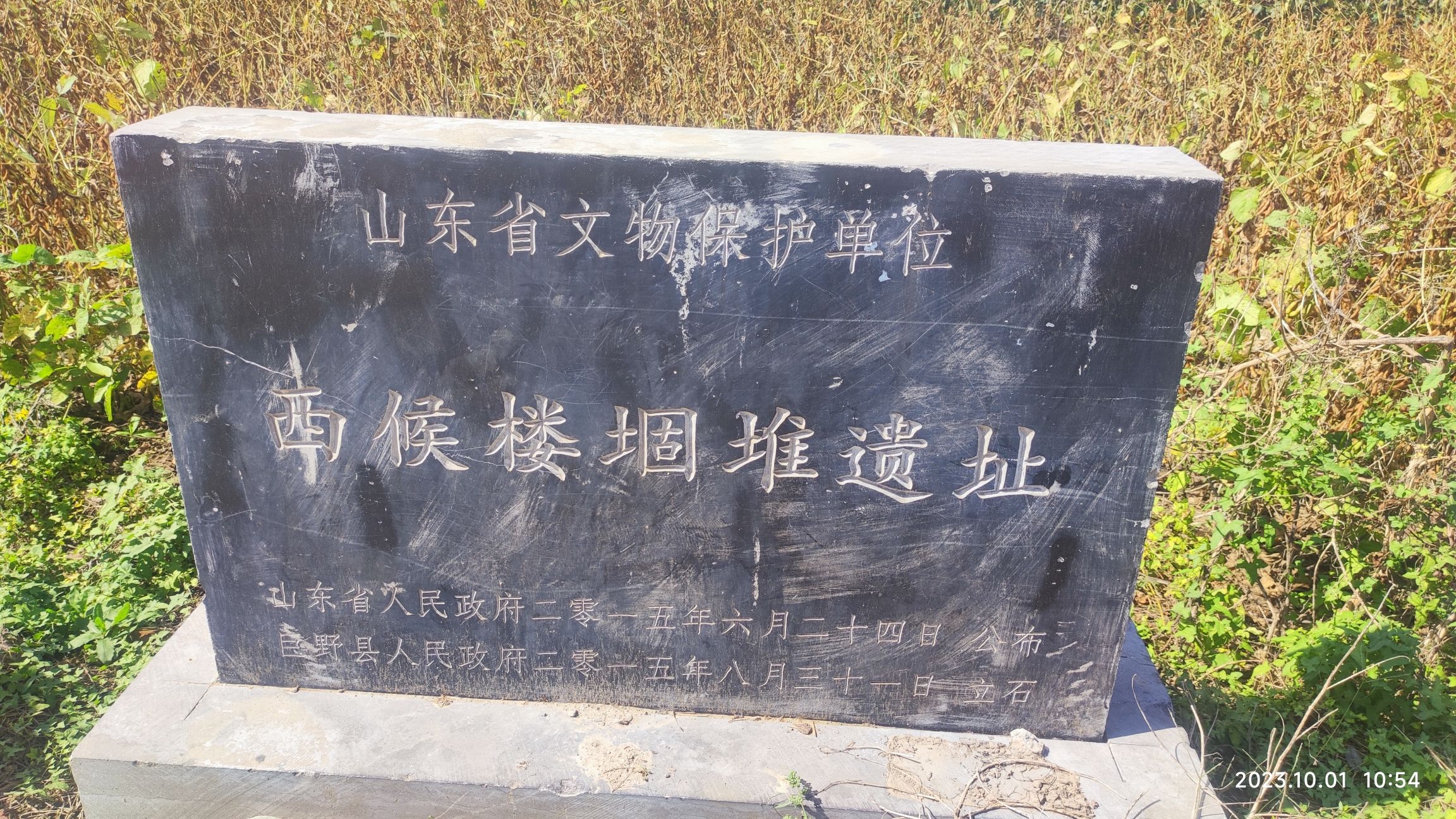 西候楼堌堆遗址旅行图片 1
