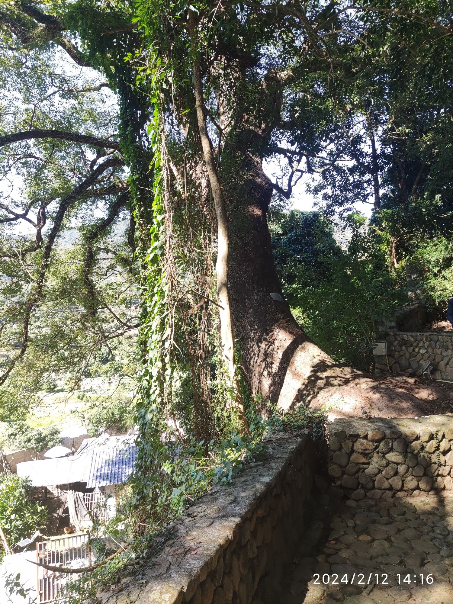 福茂寨旅行图片 2