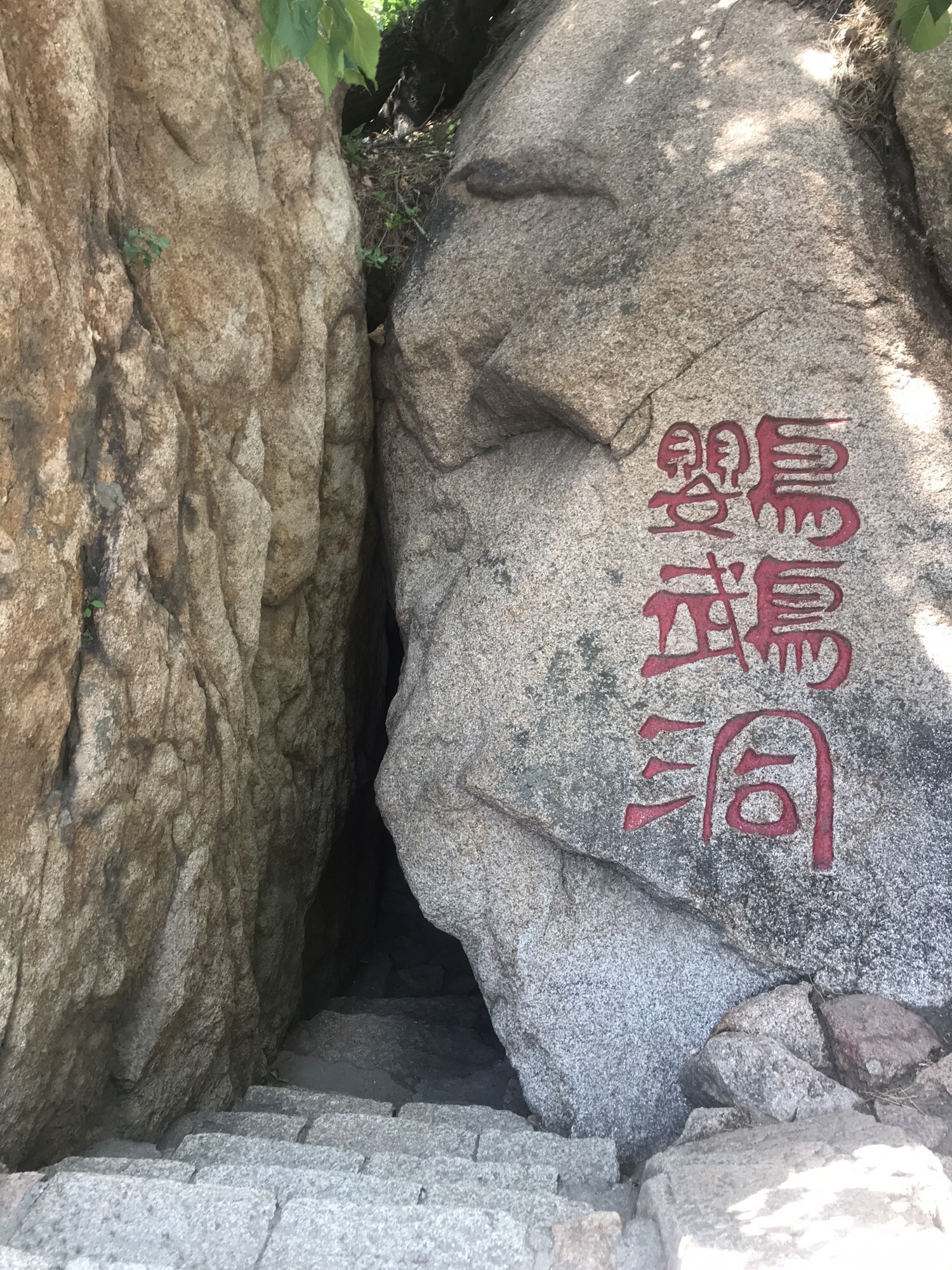 鹦鹉洞
