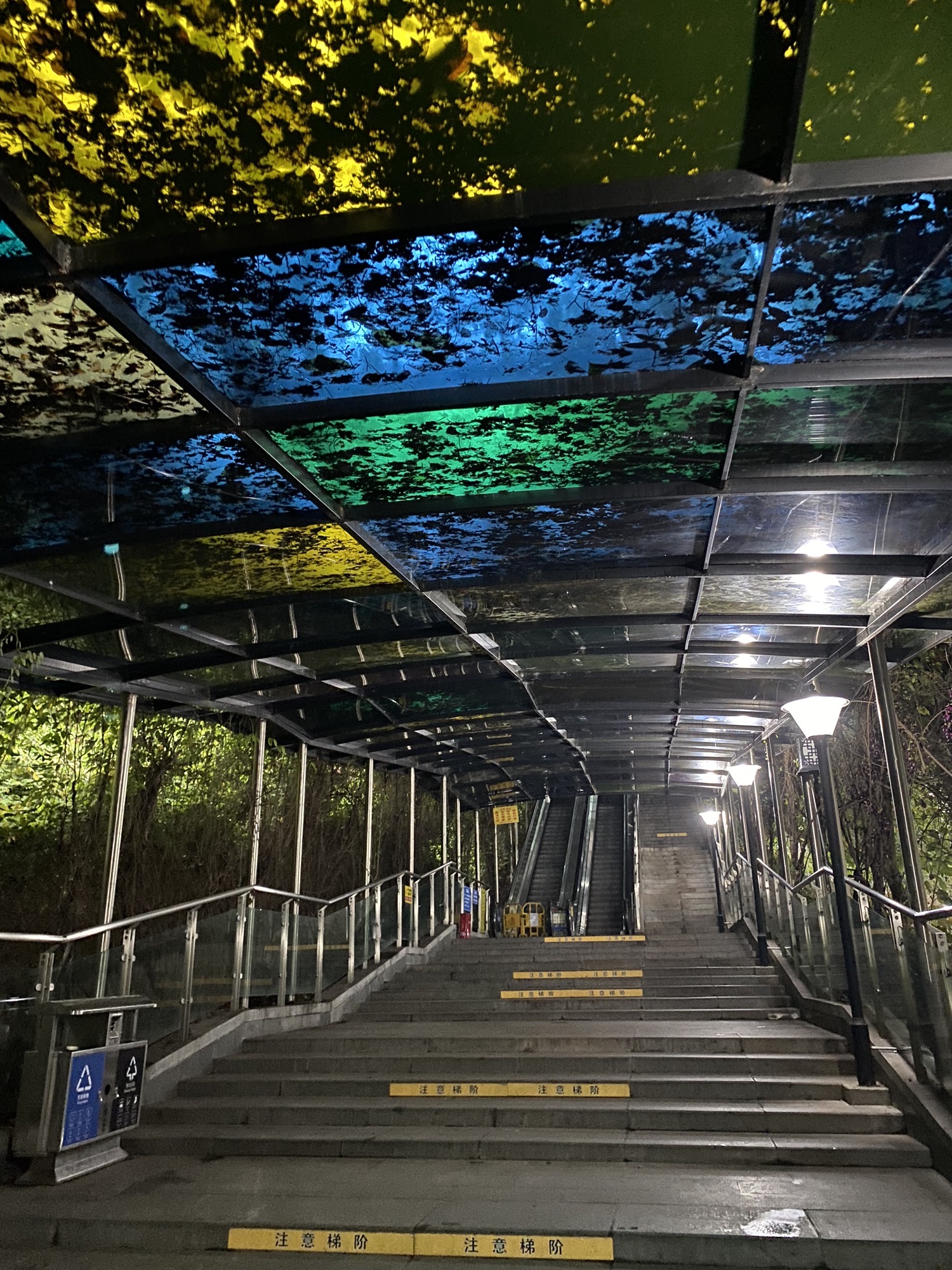 大化步道旅行图片 2