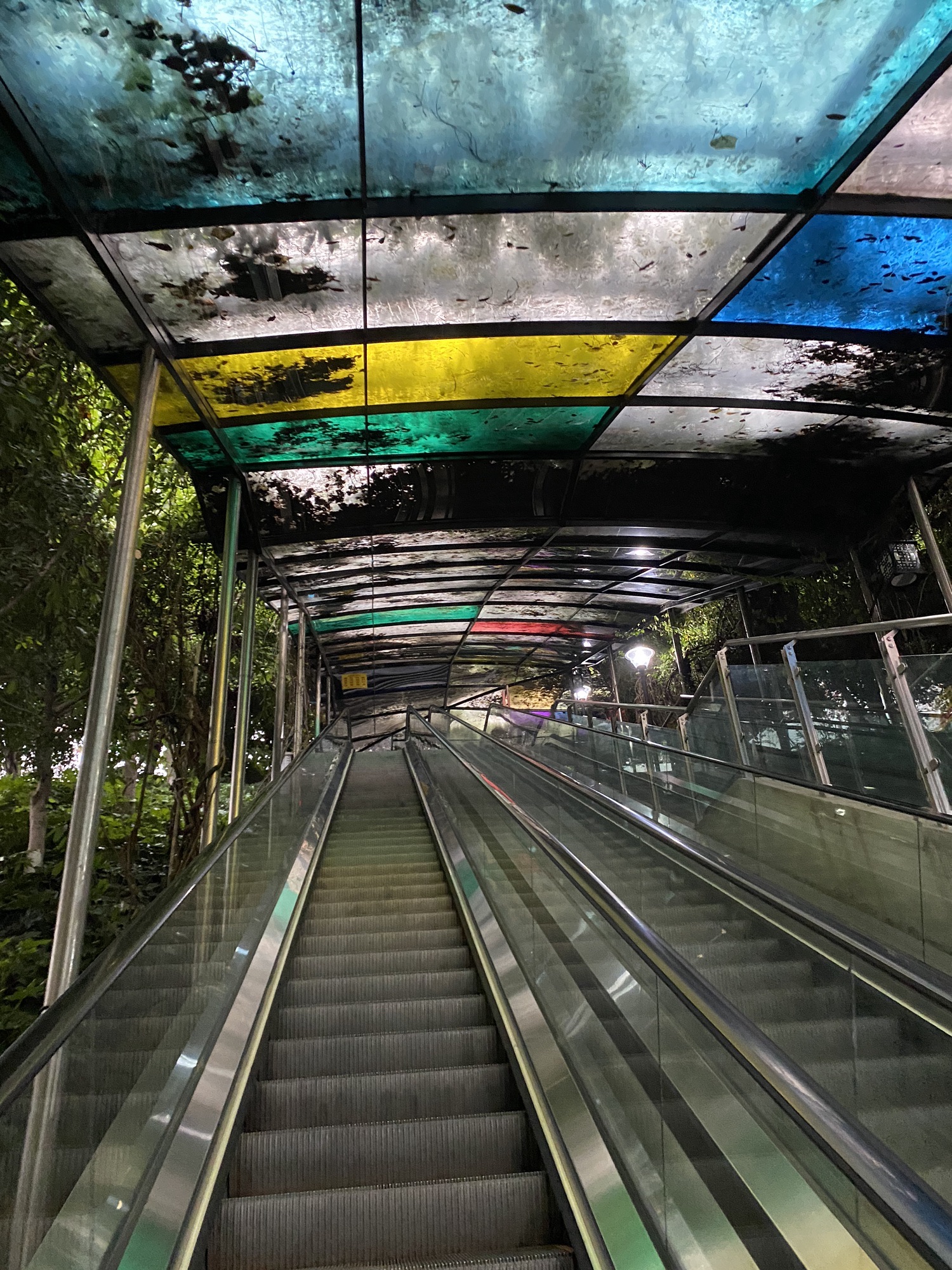 大化步道旅行图片 1