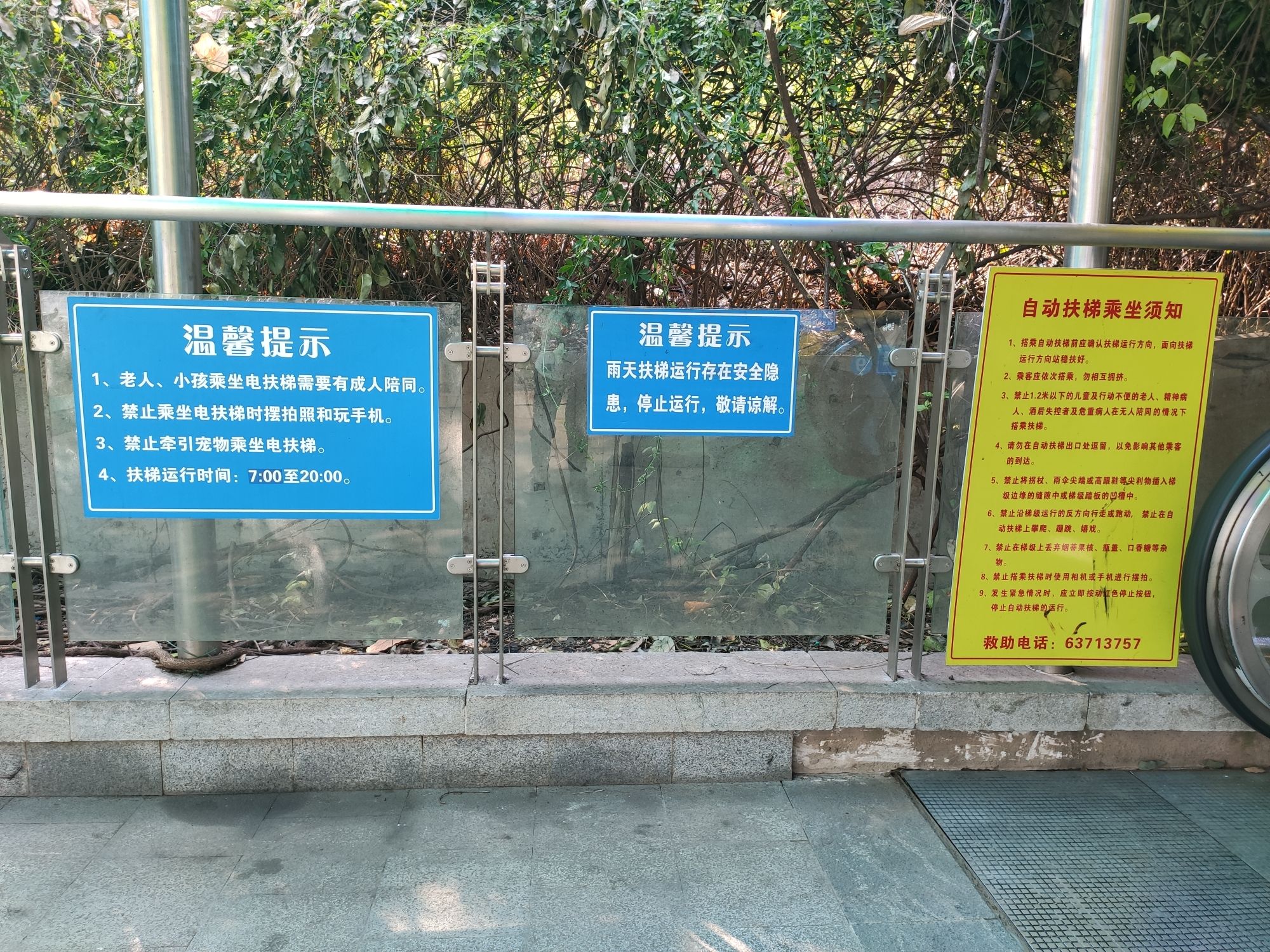 大化步道旅行图片 3