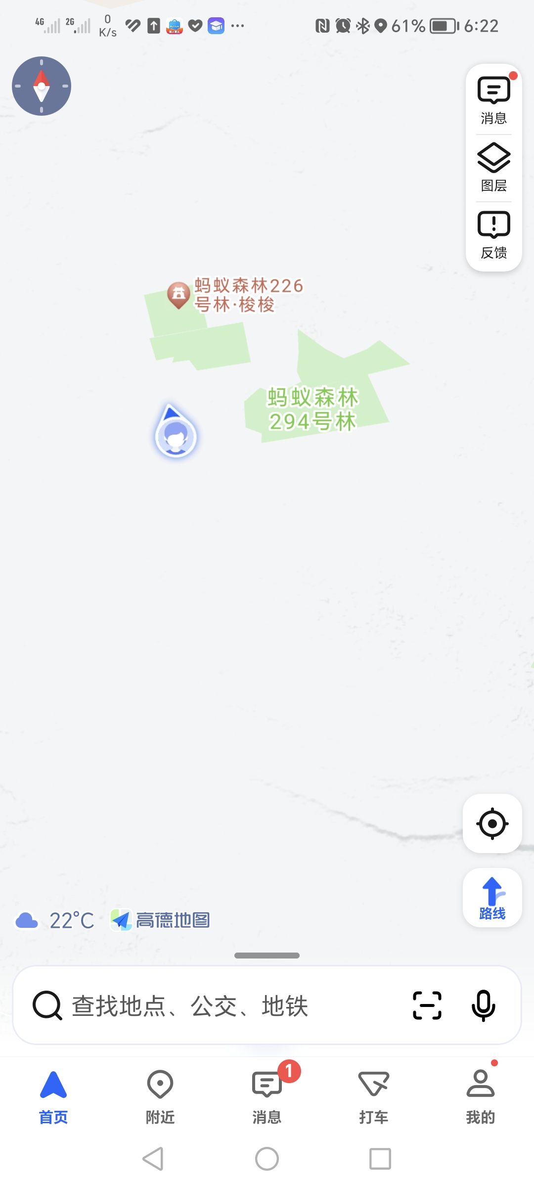 蚂蚁森林294号林旅行图片
