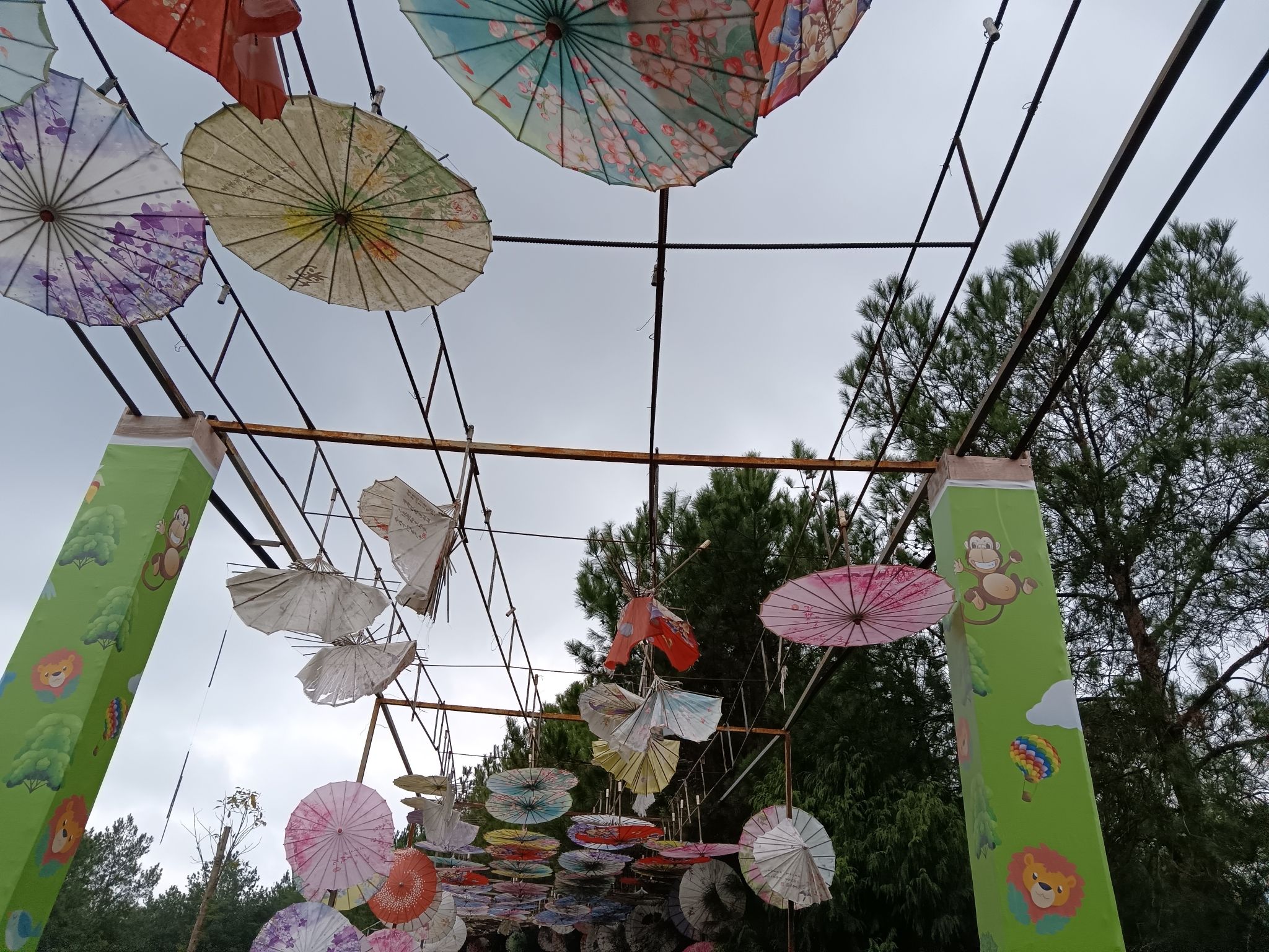 金石云顶野生动物园旅行图片 3