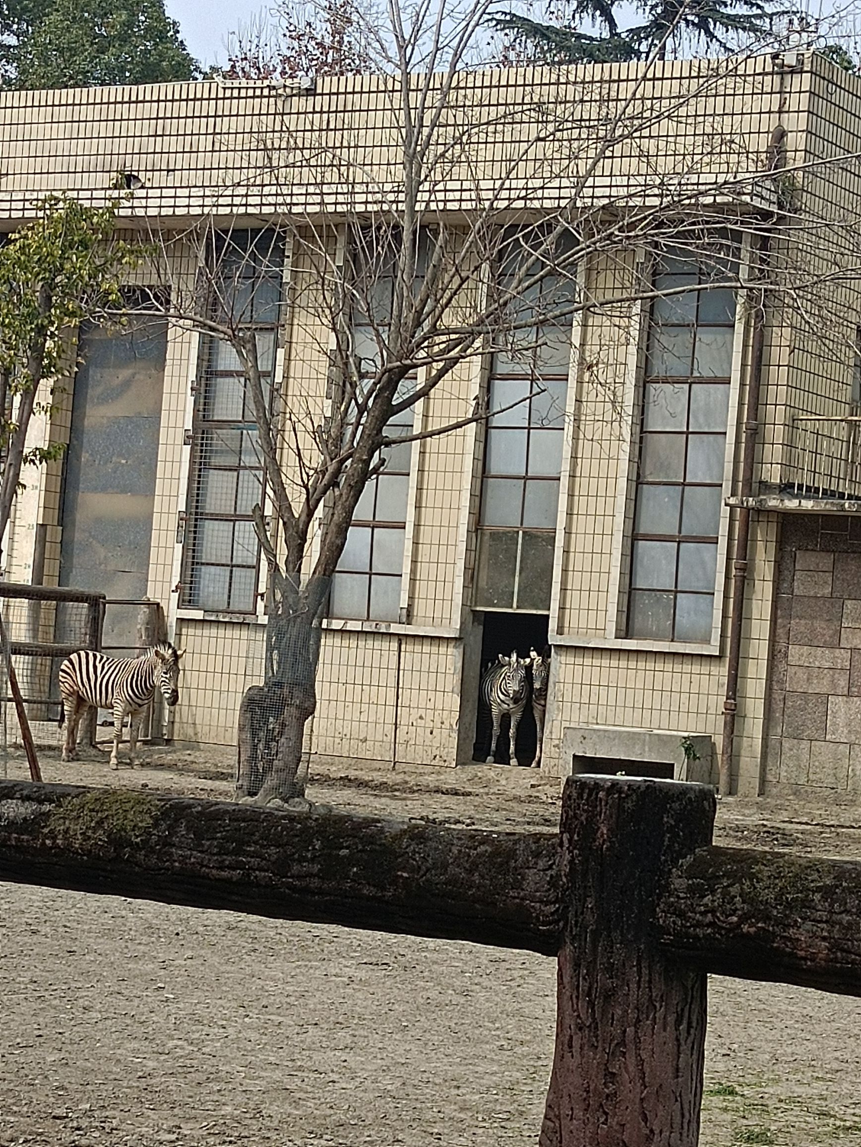 金石云顶野生动物园旅行图片 2