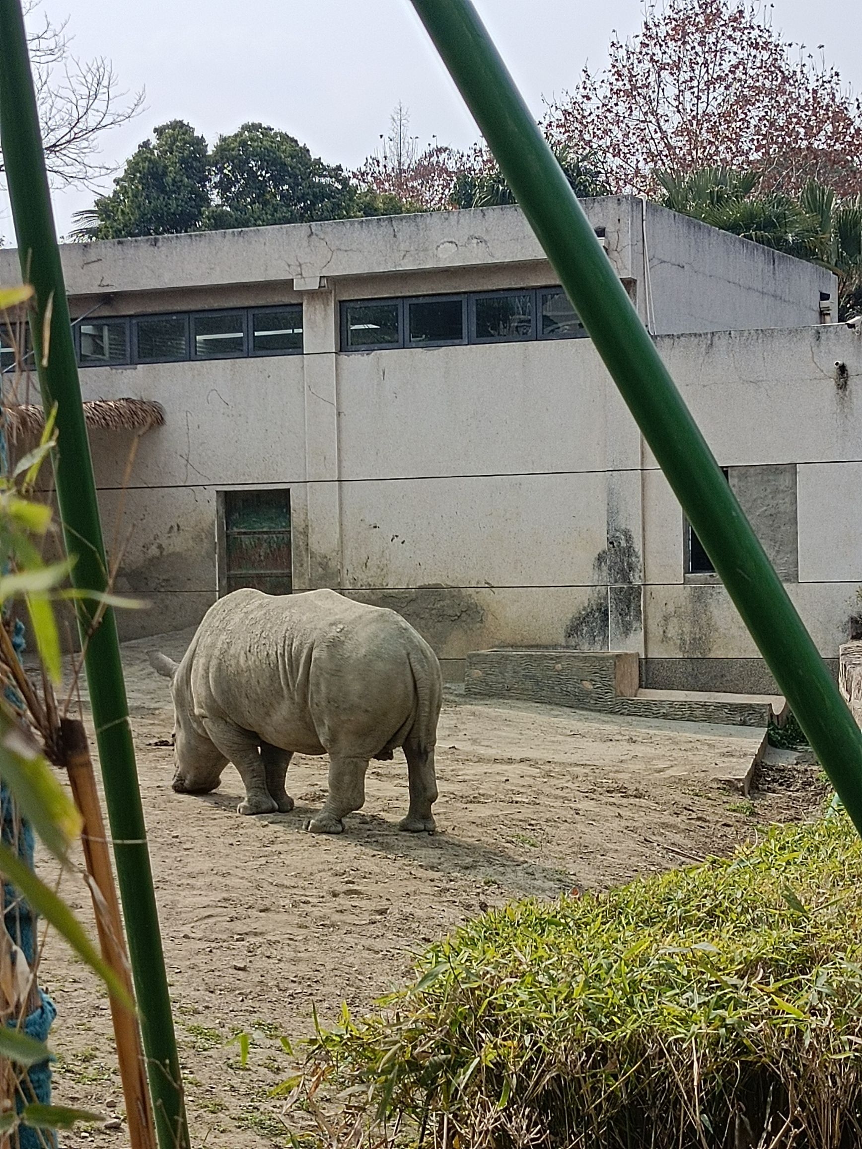 金石云顶野生动物园旅行图片 1