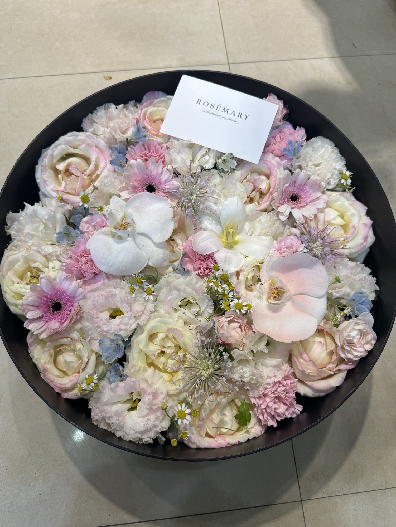 ROSEMARY(耀江阳光花园店)