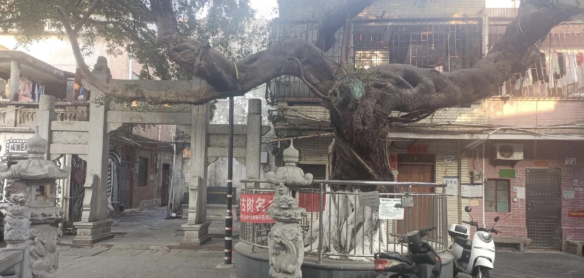 沙井墟遗址旅行图片 2