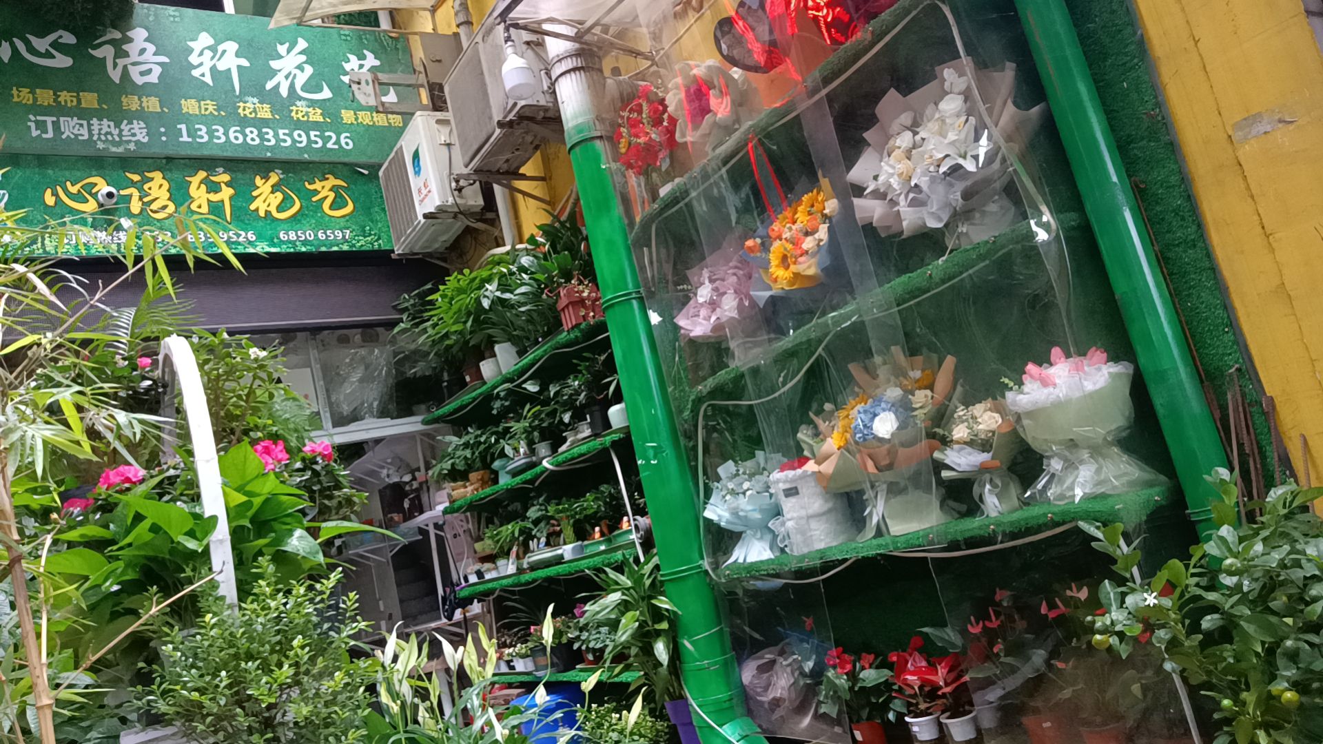 奥体袁家岗心语轩花艺花店鲜花