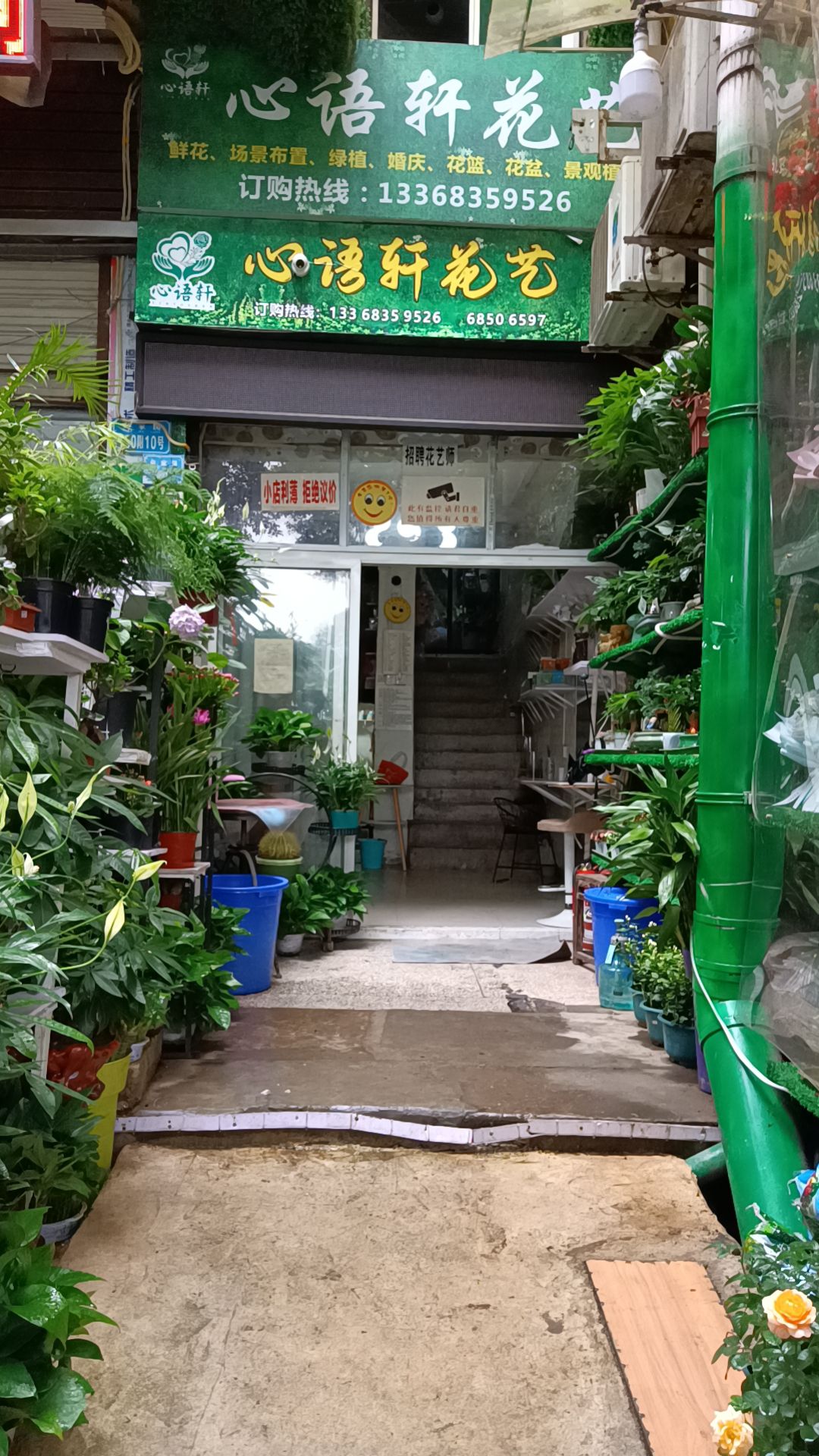 奥体袁家岗心语轩花艺花店鲜花