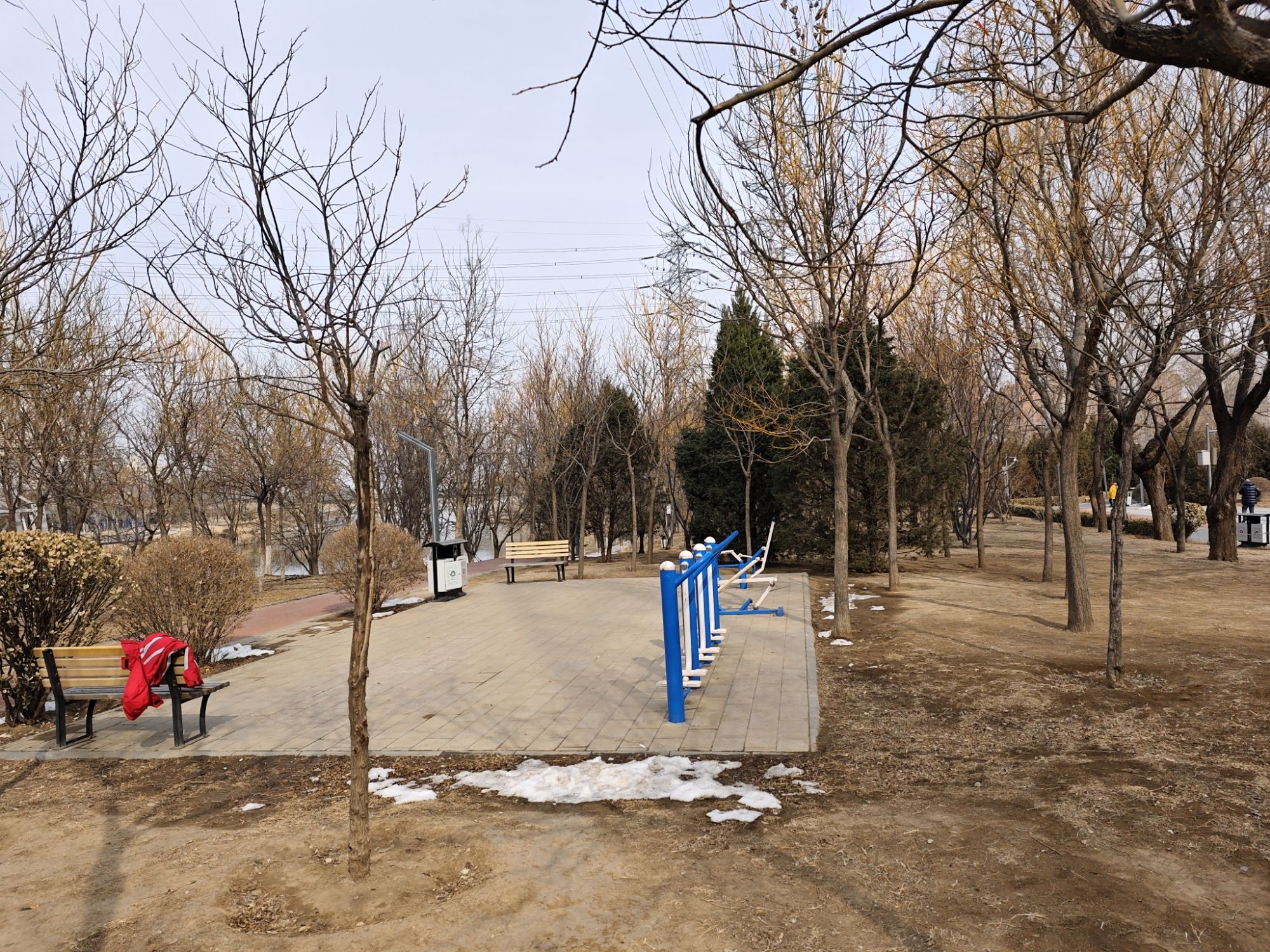 来广营地区滨河公园旅行图片 2