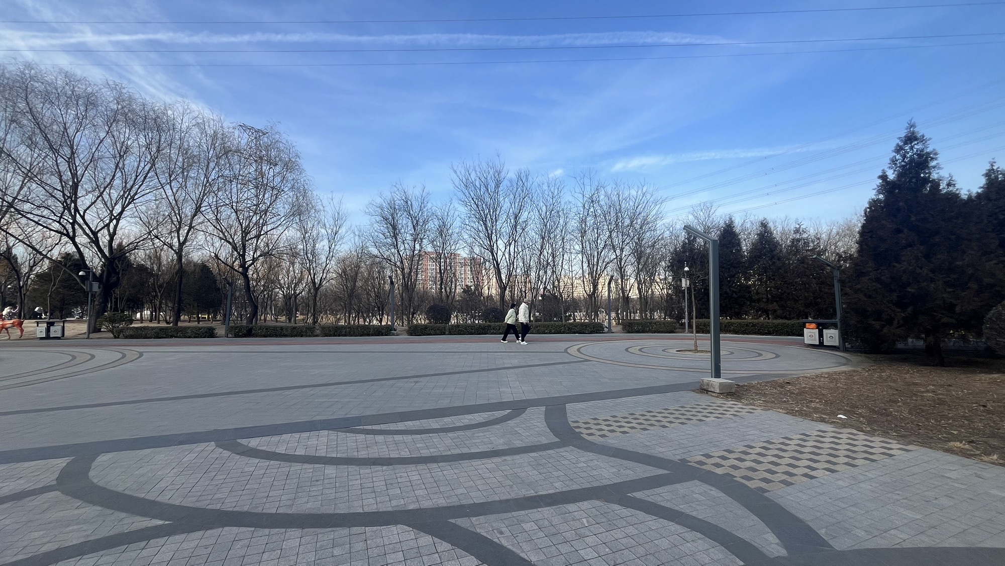 来广营地区滨河公园旅行图片 2