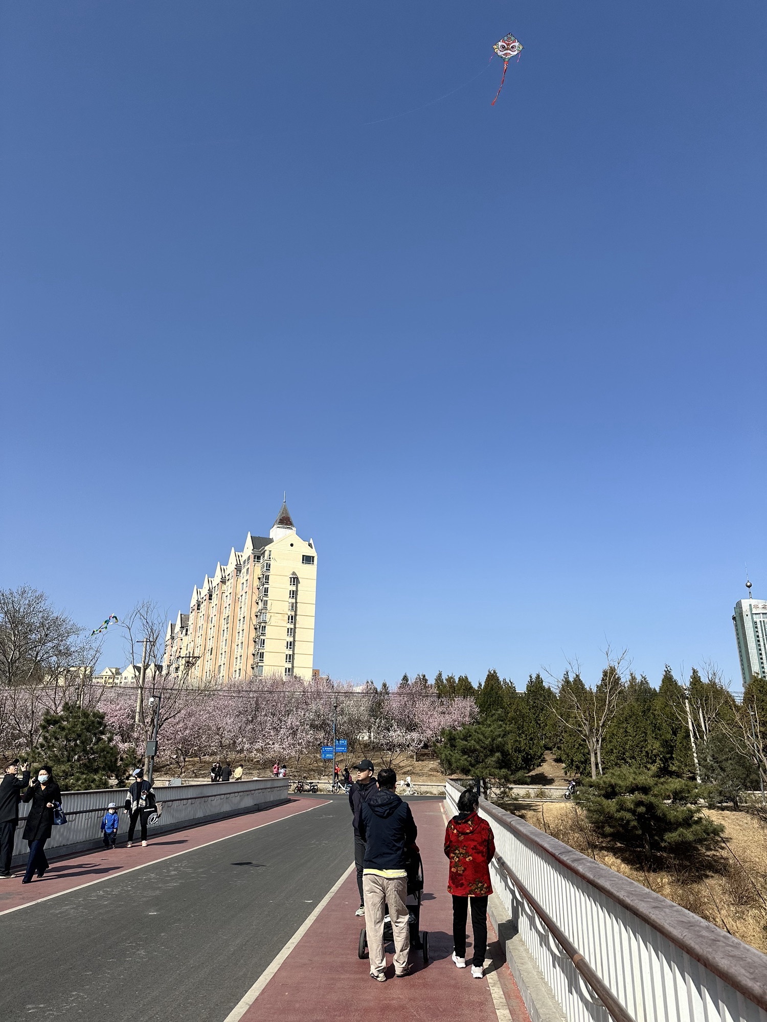 来广营地区滨河公园旅行图片 3