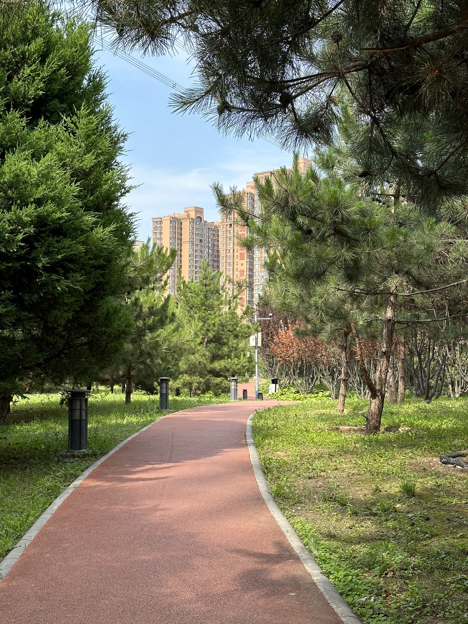 来广营地区滨河公园旅行图片 1