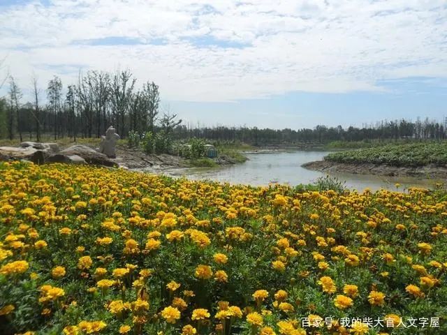 曹田沟公园旅行图片 3