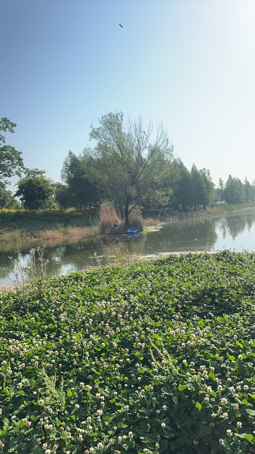 曹田沟公园旅行图片 1