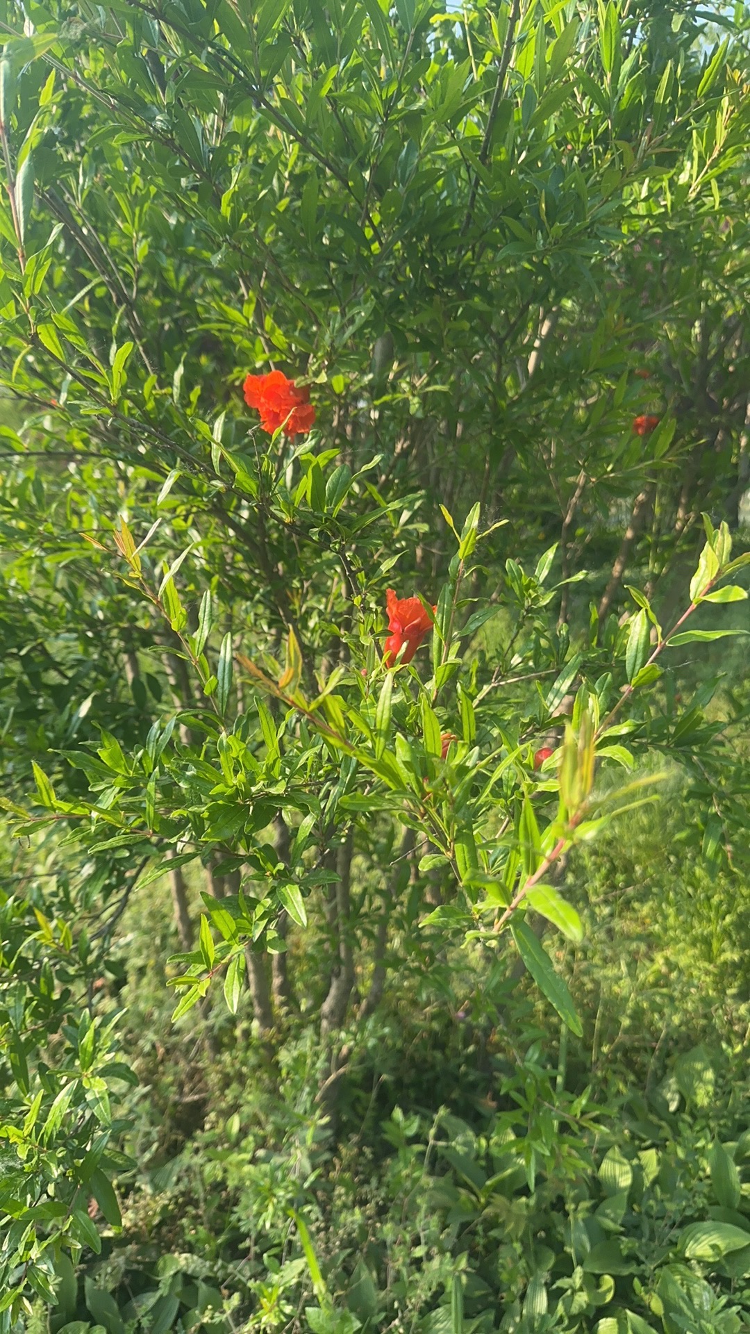 曹田沟公园旅行图片 2