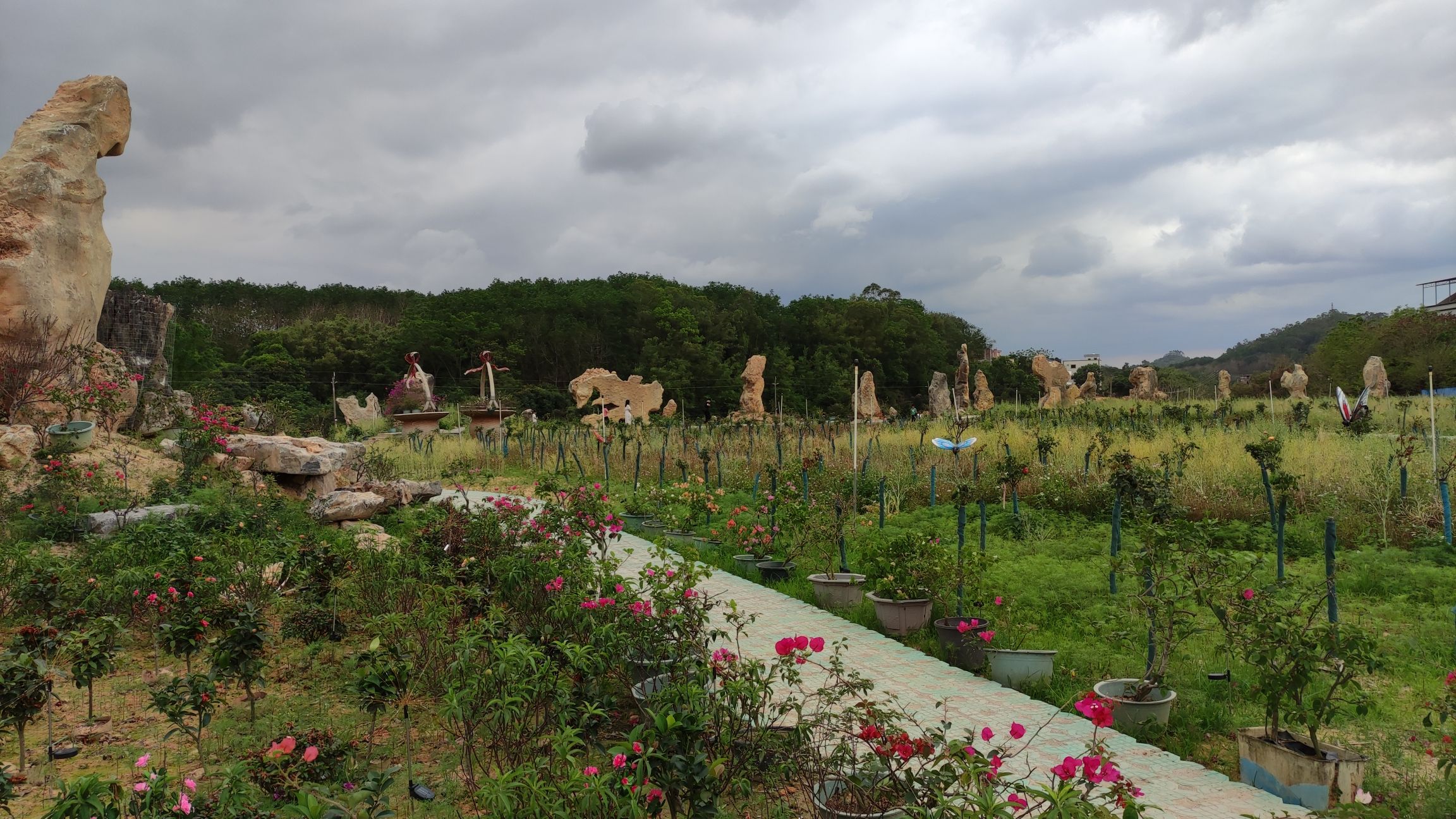 高州市粤龙山风景区旅行图片 2