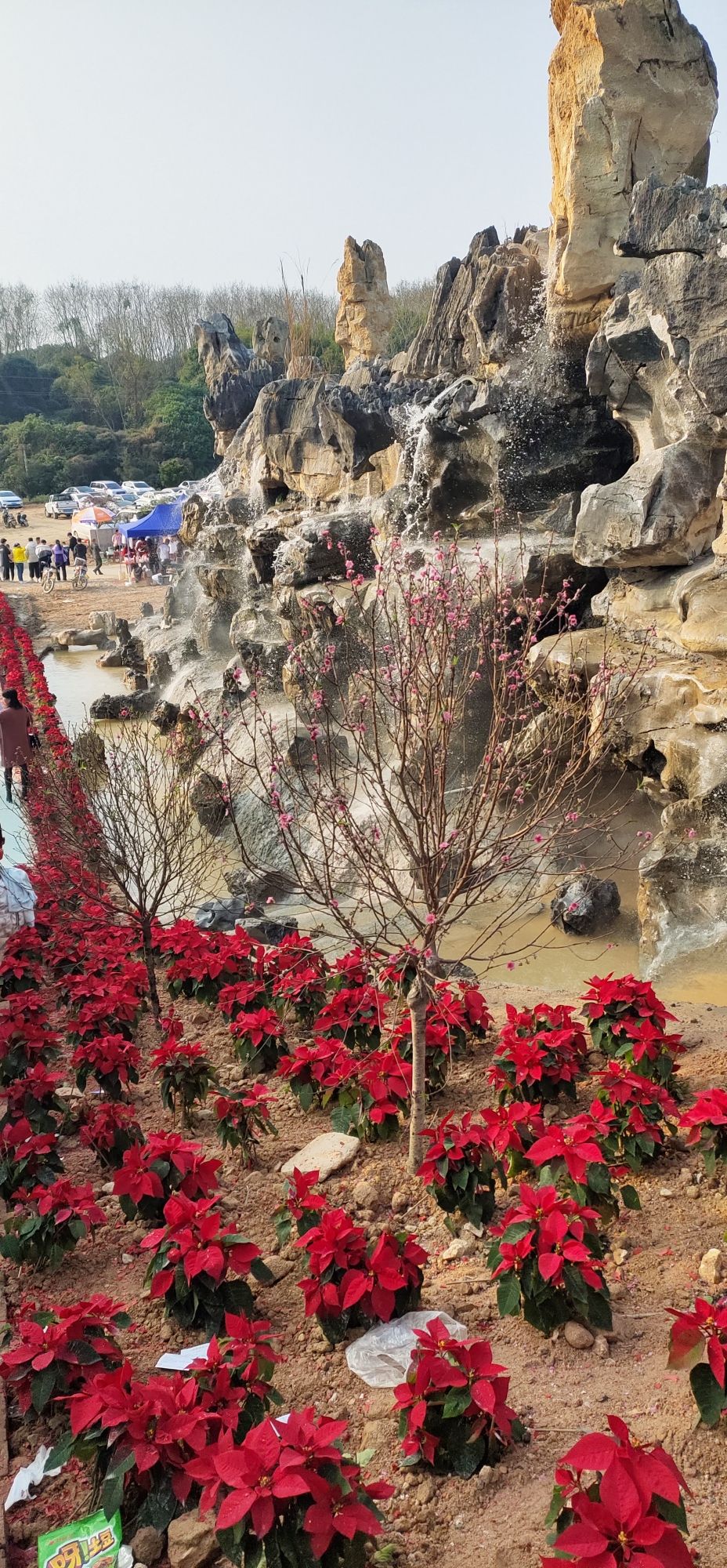 高州市粤龙山风景区旅行图片 3