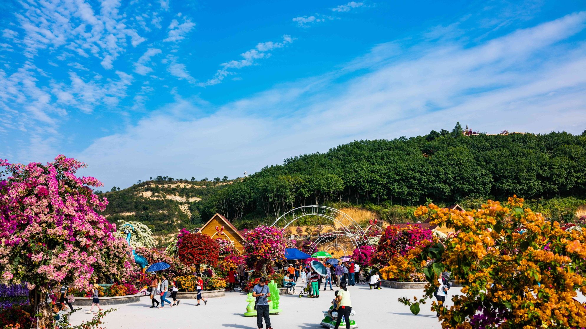 高州市粤龙山风景区旅行图片 1