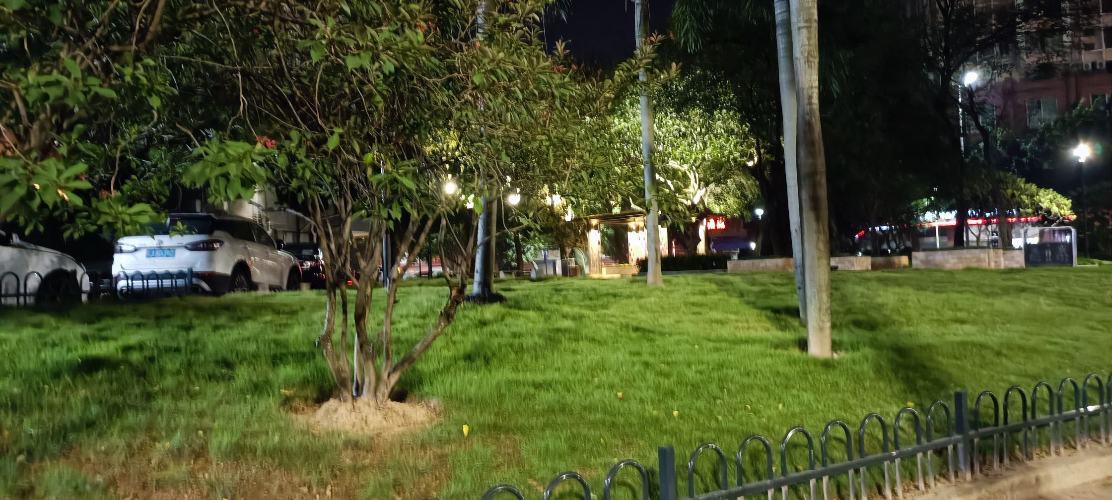 江翠口袋公园旅行图片 3